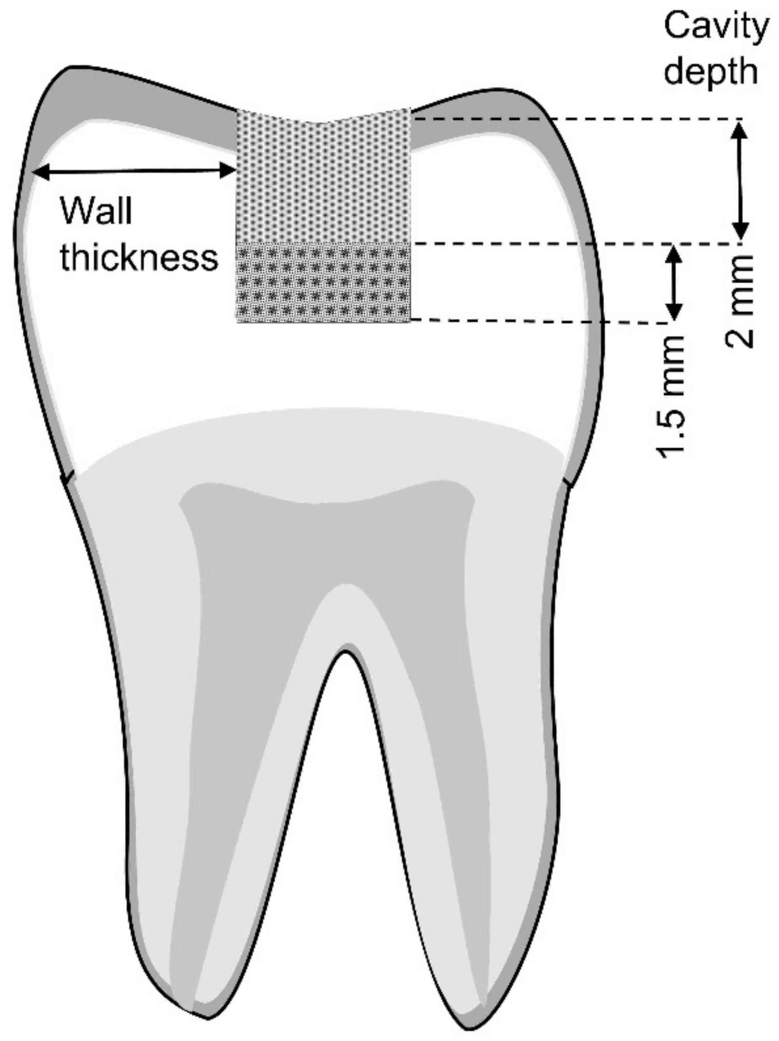 Polymers 15 01358 g001