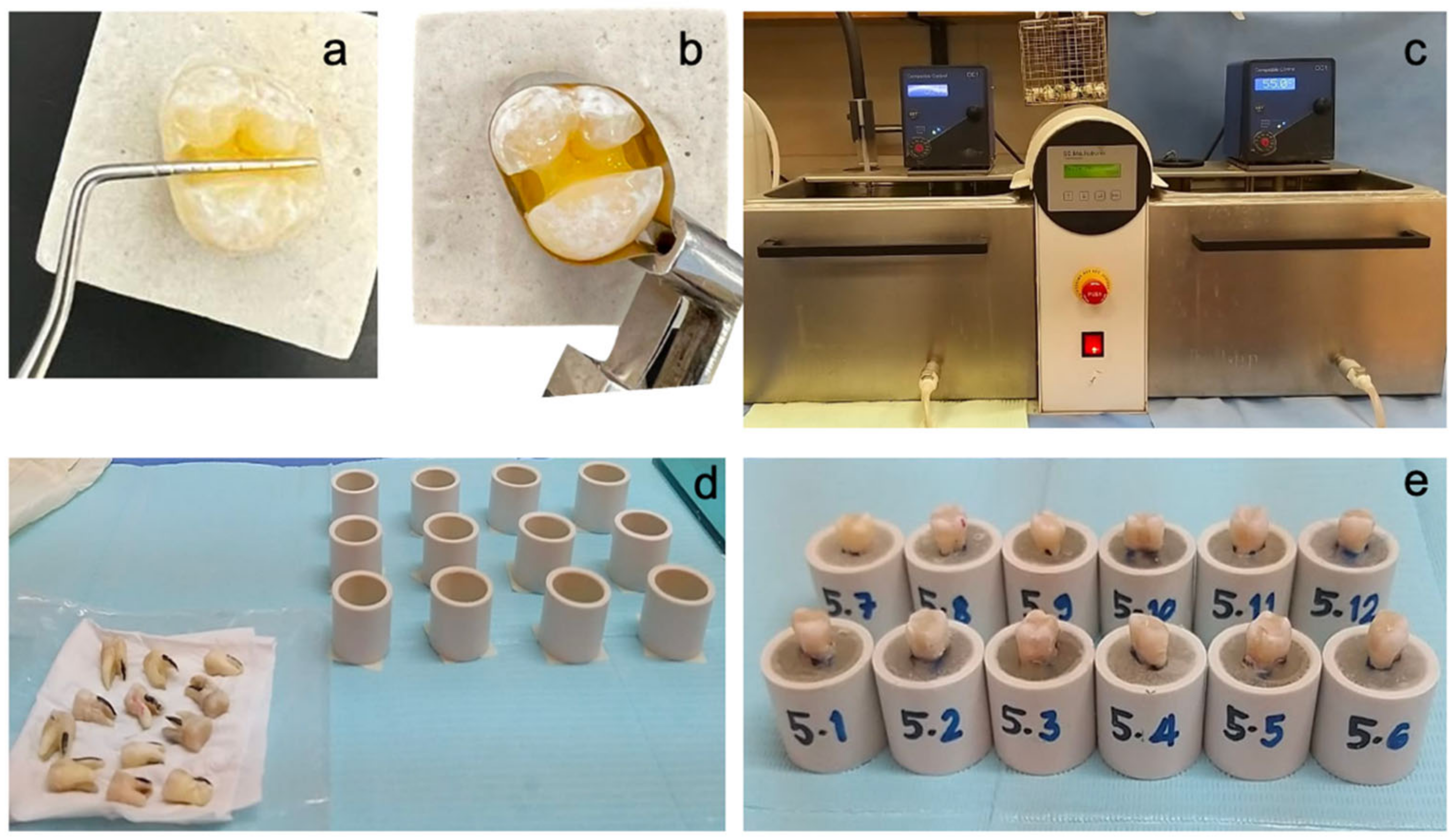 Polymers 15 01358 g002