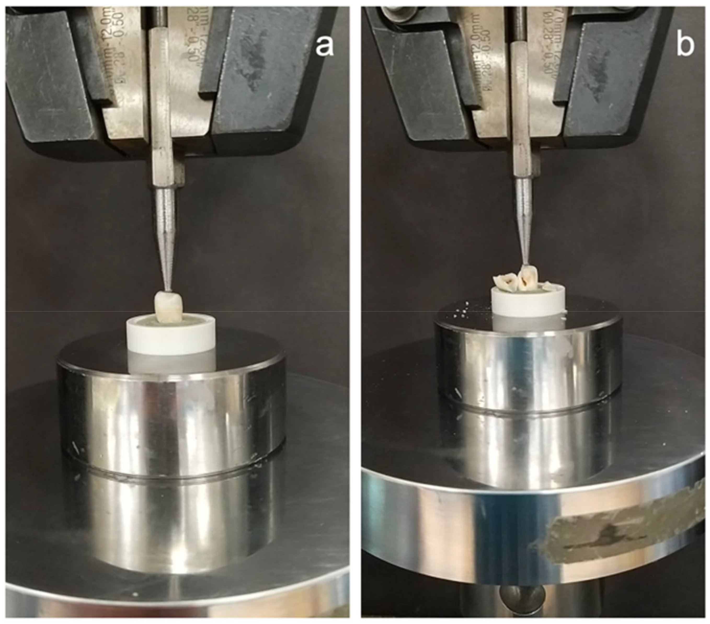 Polymers 15 01358 g004