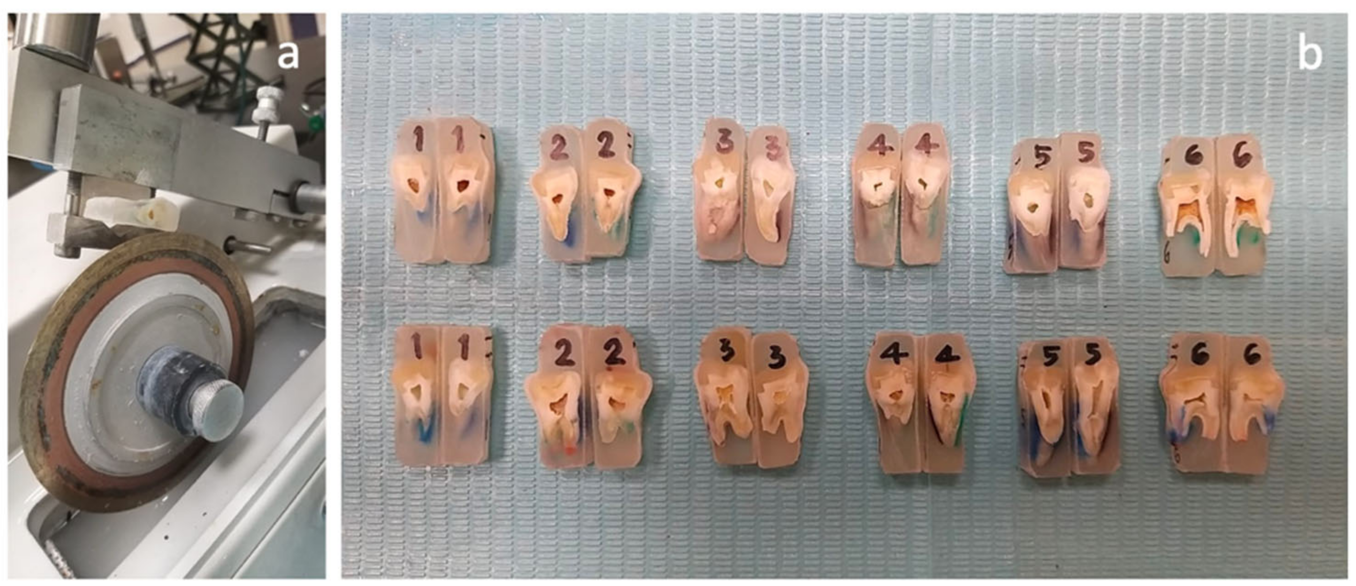 Polymers 15 01358 g005