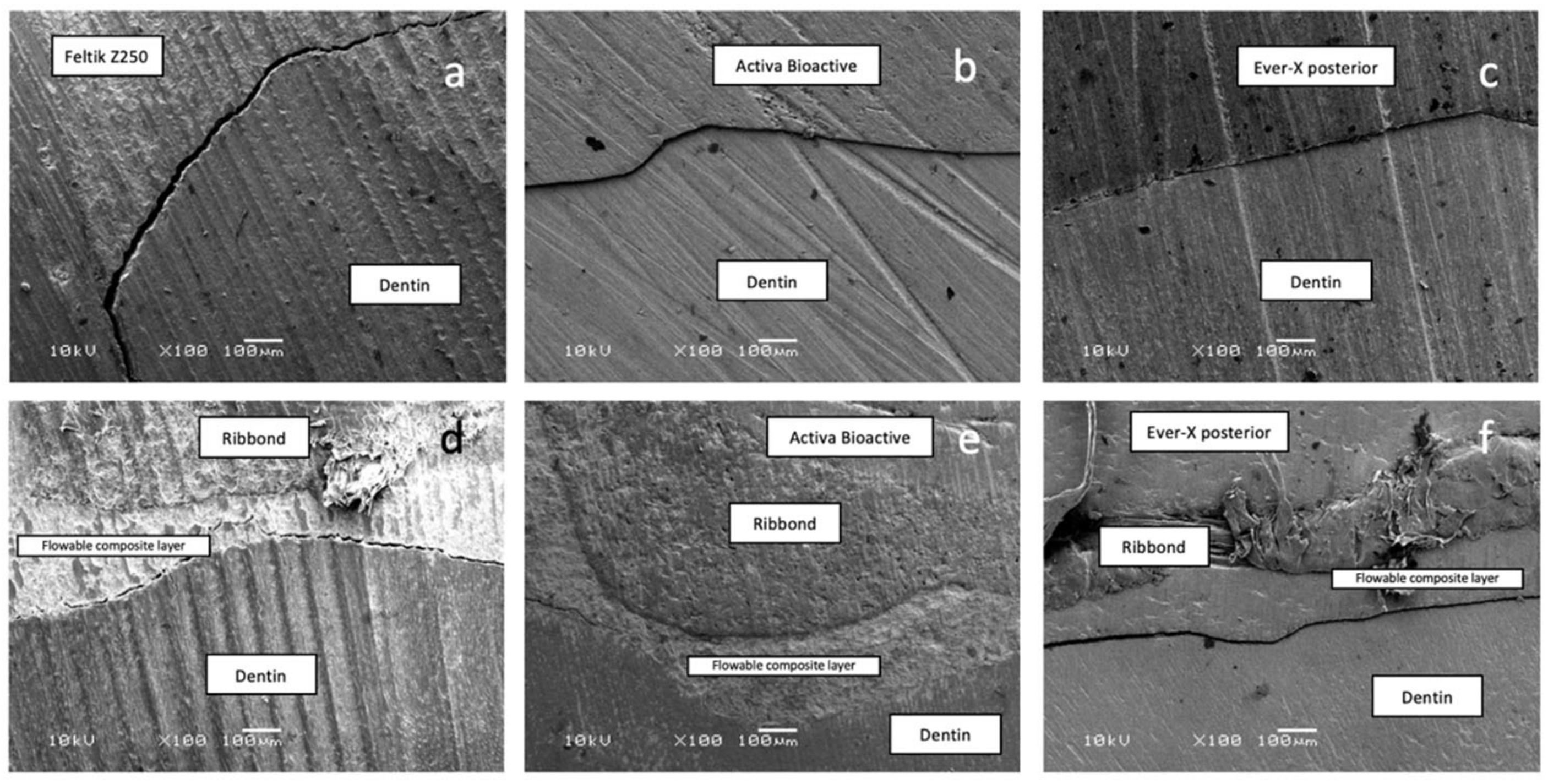 Polymers 15 01358 g006
