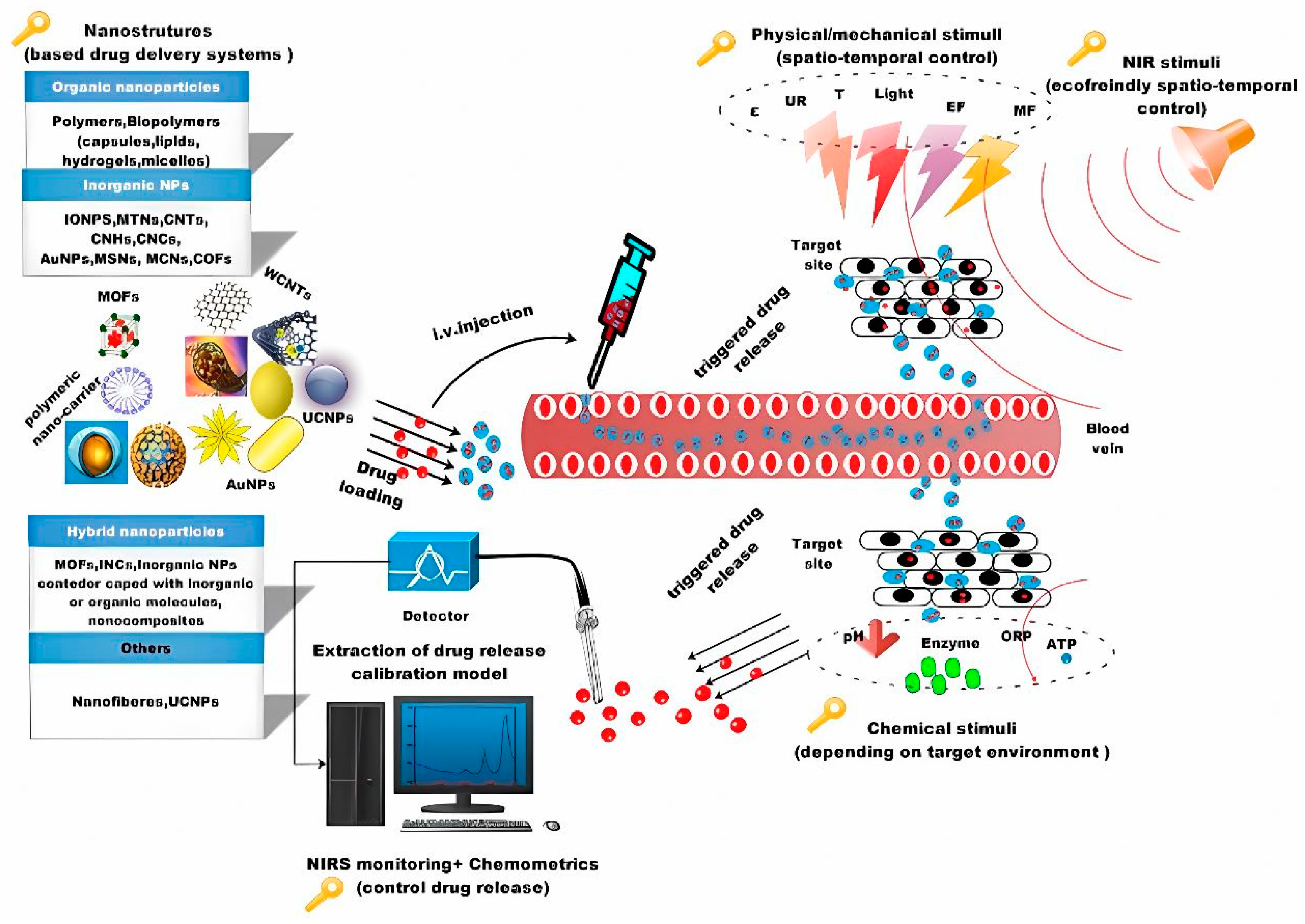 Polymers 15 01365 g001