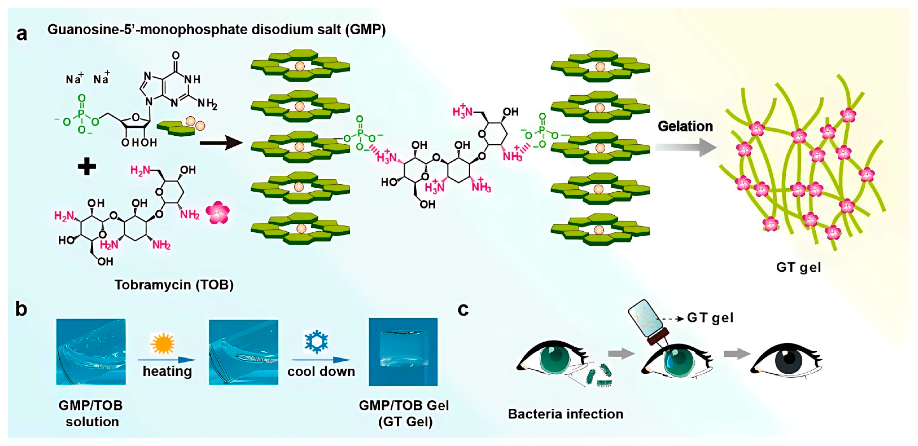 Polymers 15 01365 g004
