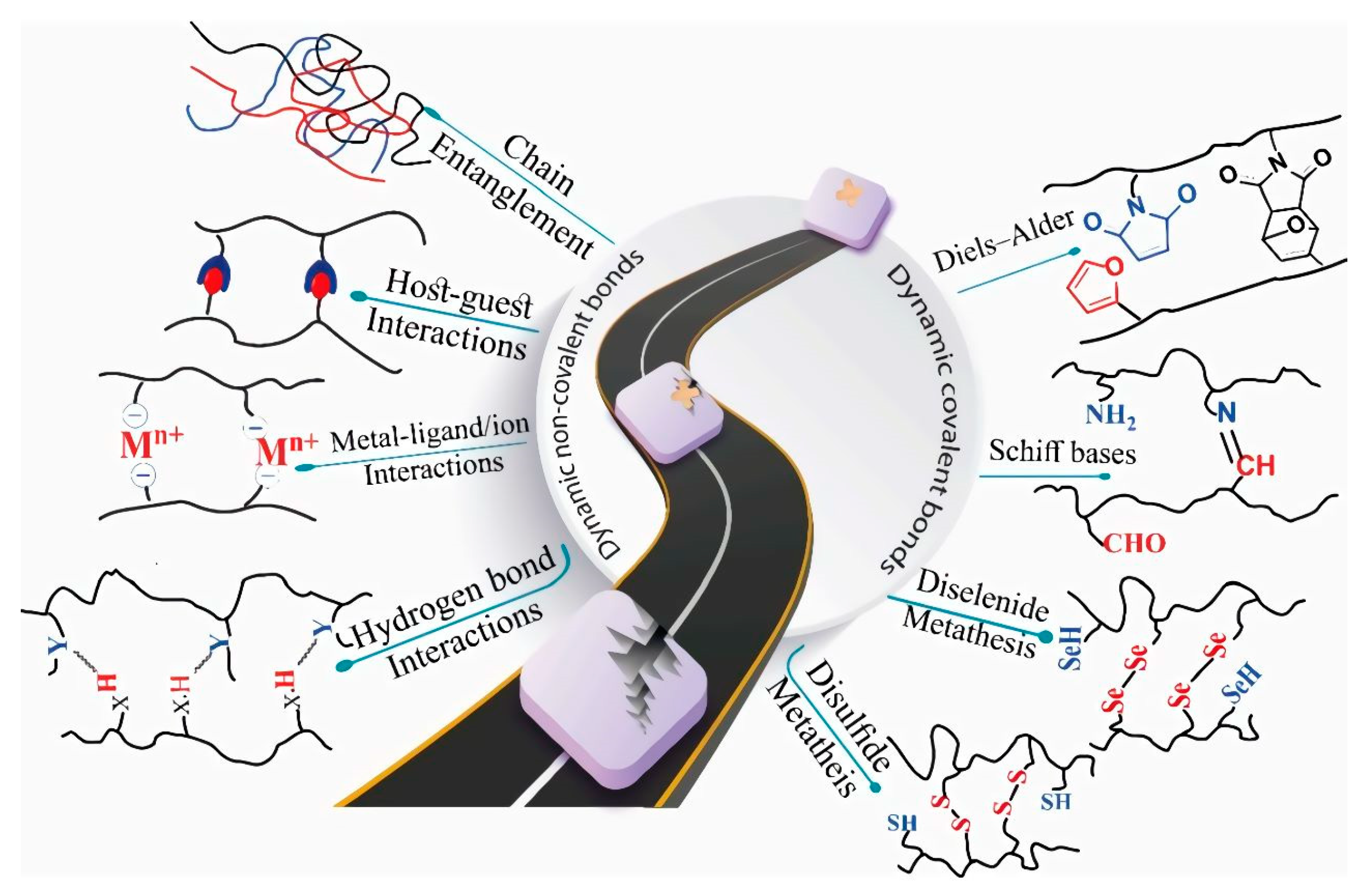 Polymers 15 01365 g006