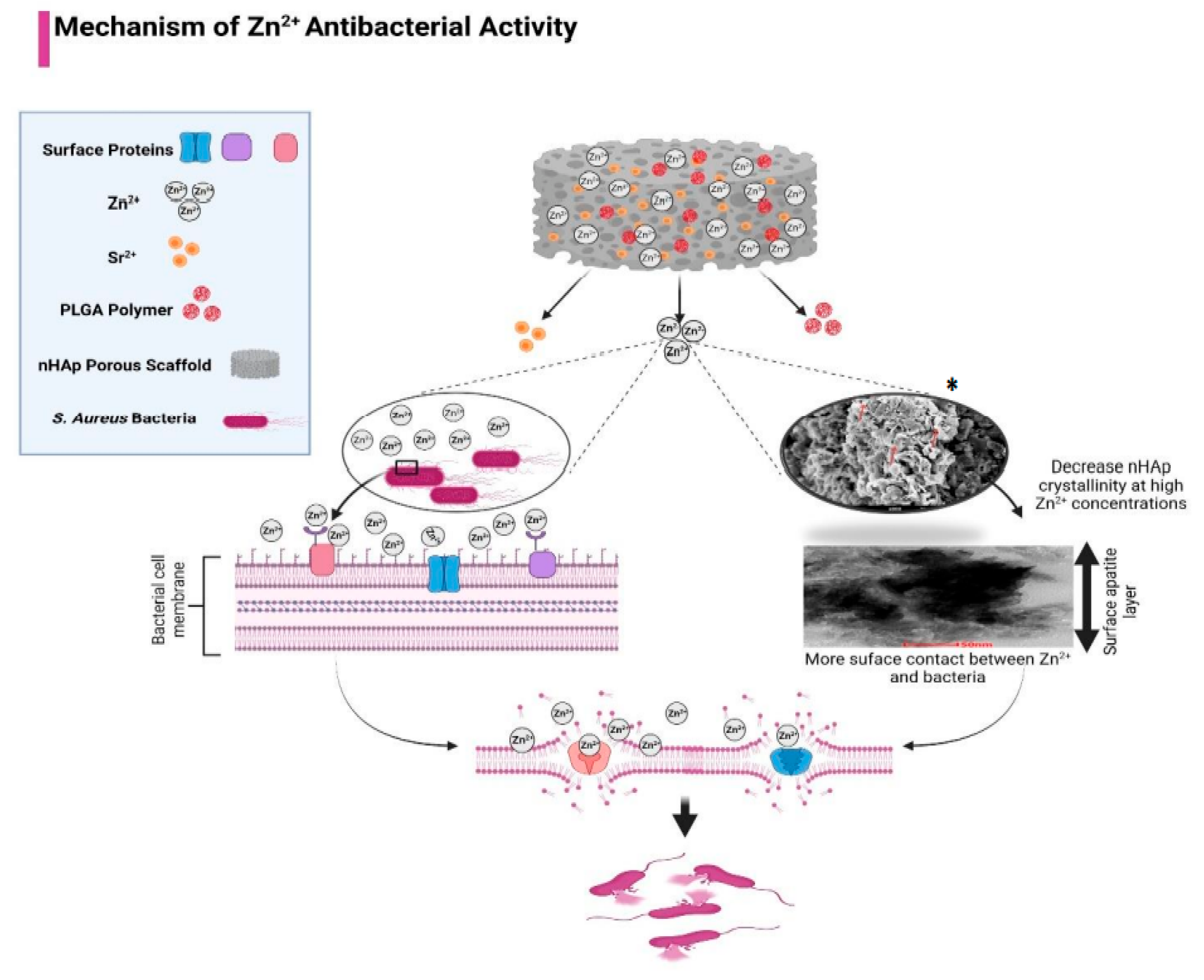 Polymers 15 01370 g005