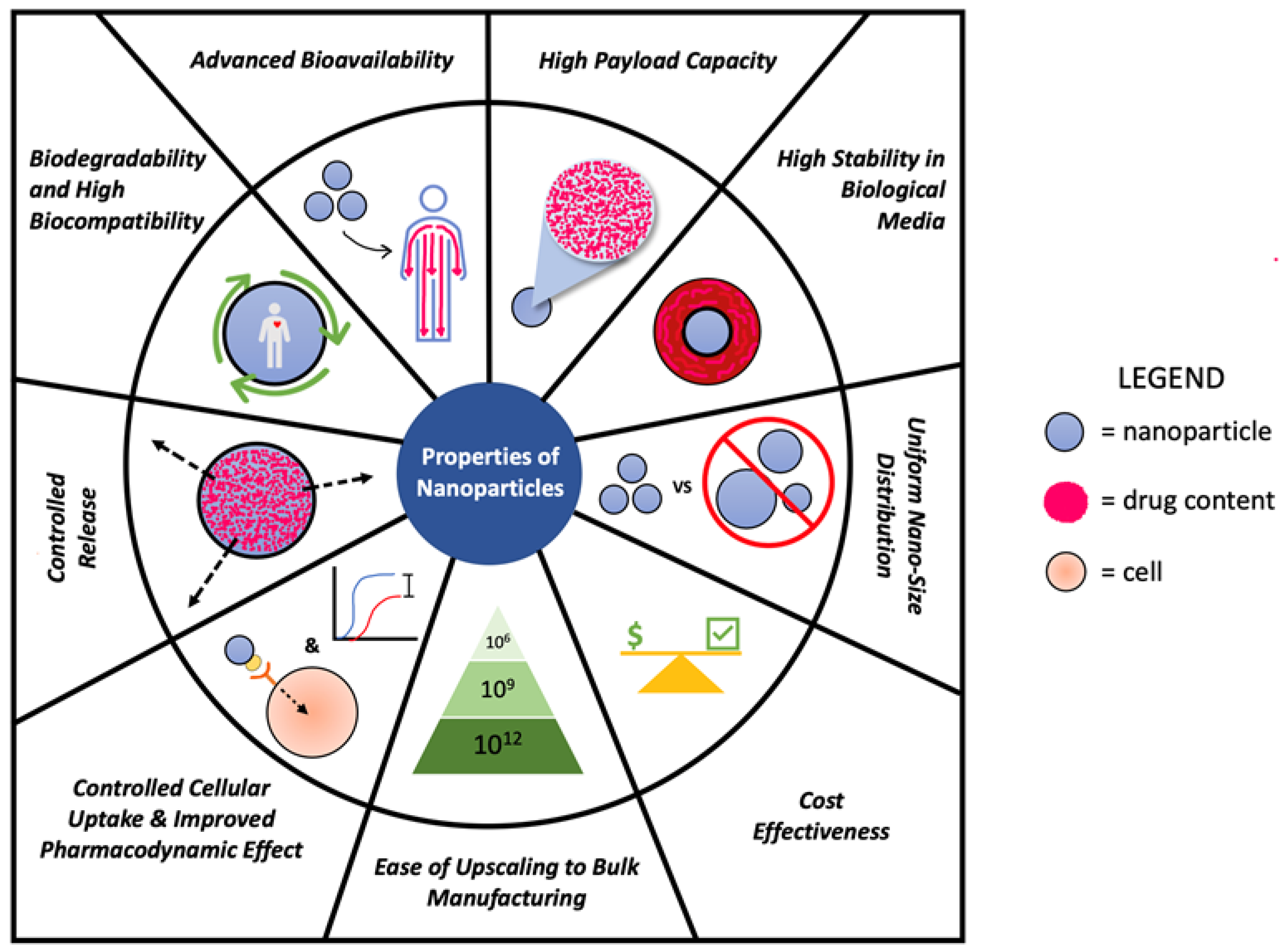 Polymers 15 01373 g001