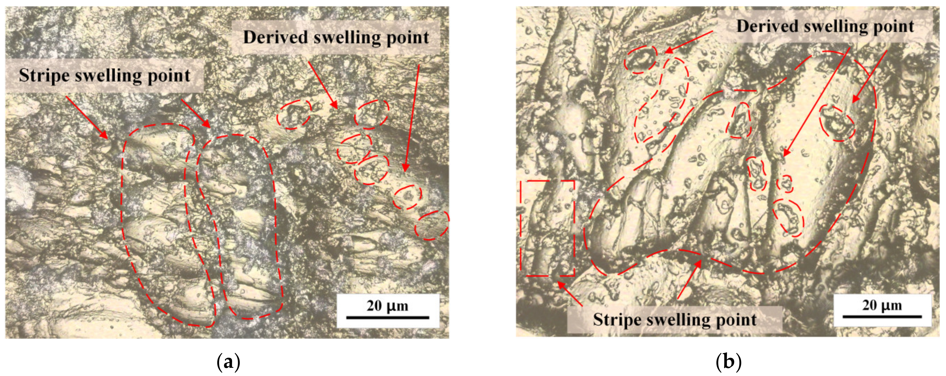 Polymers 15 01375 g002