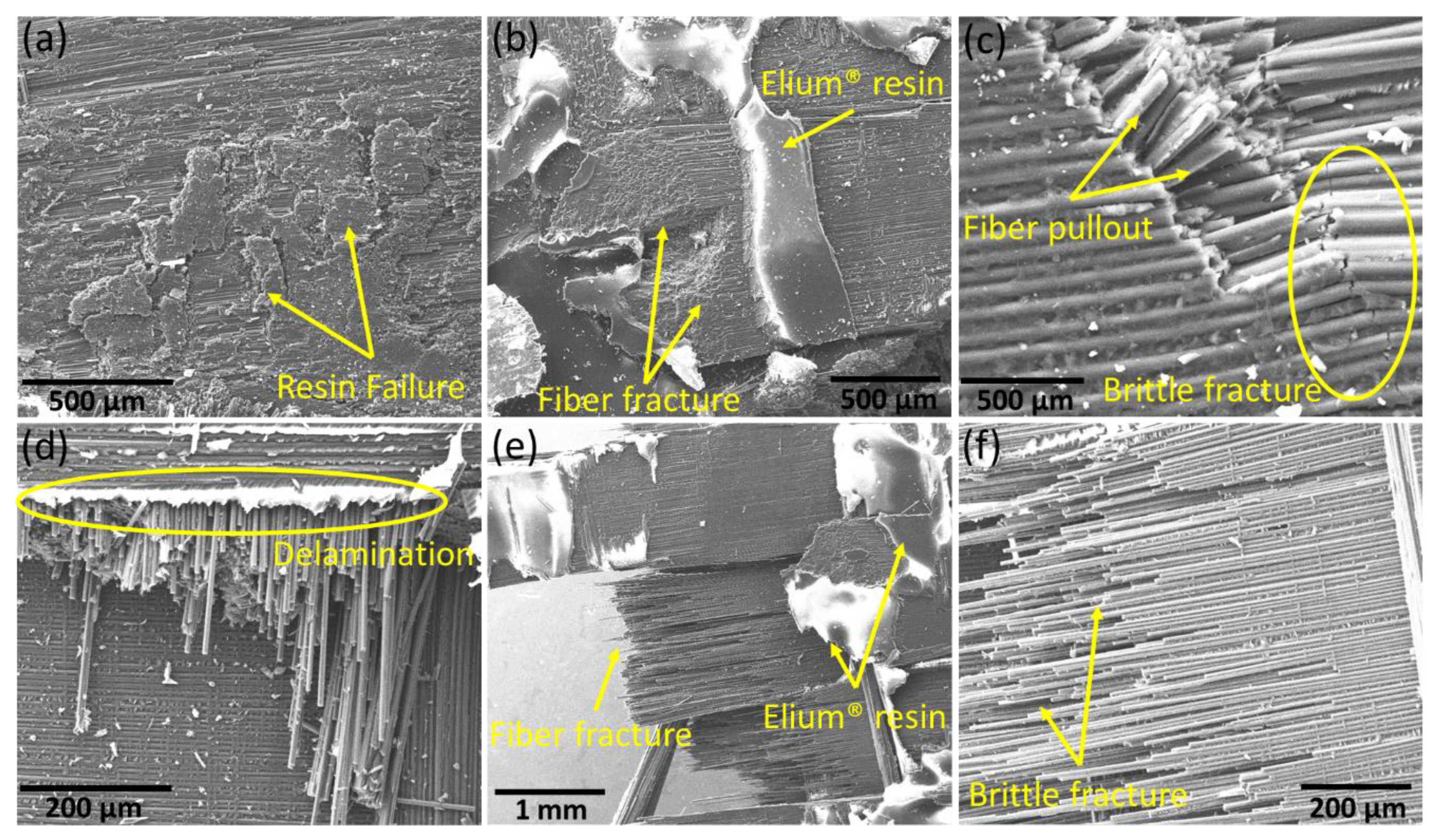 Polymers 15 01377 g011