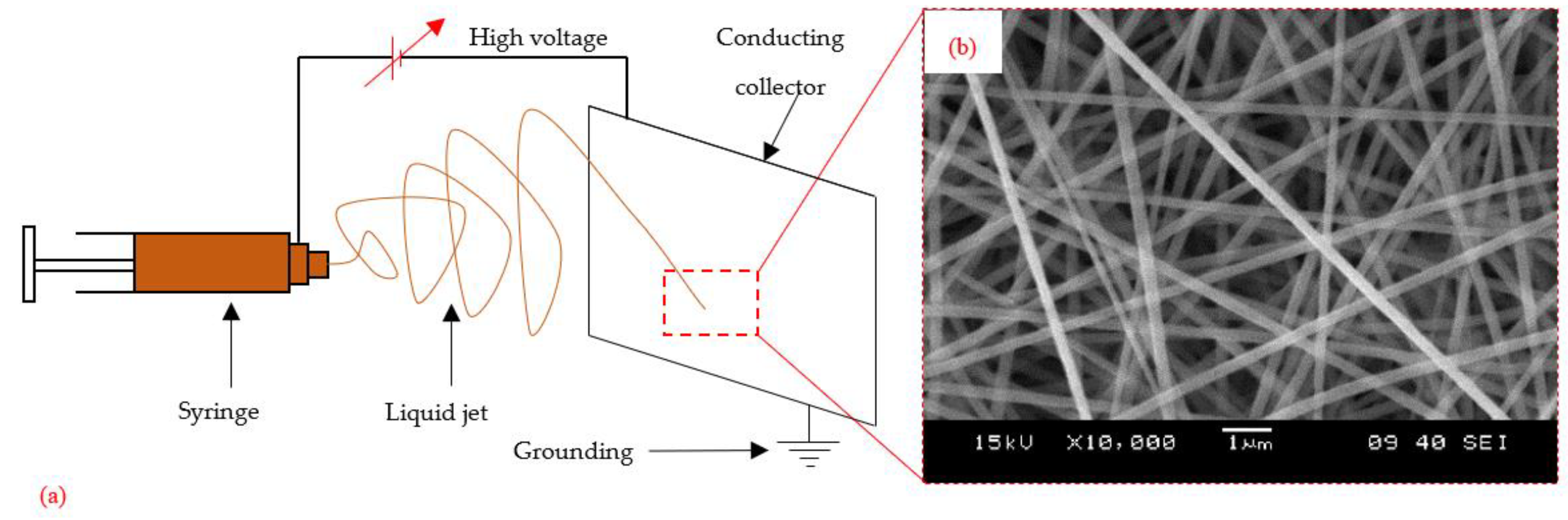 Polymers 15 01380 g002