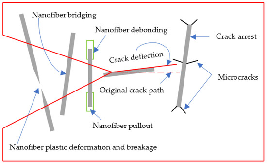 Polymers 15 01380 g004