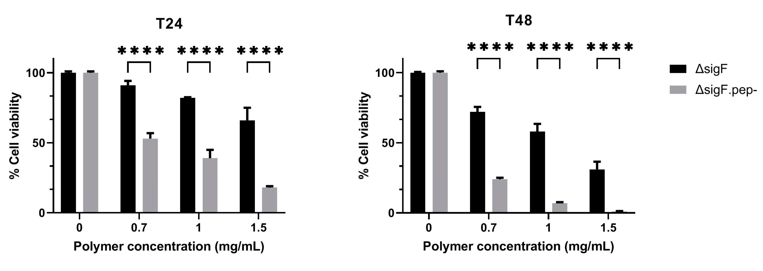 Polymers 15 01382 g004