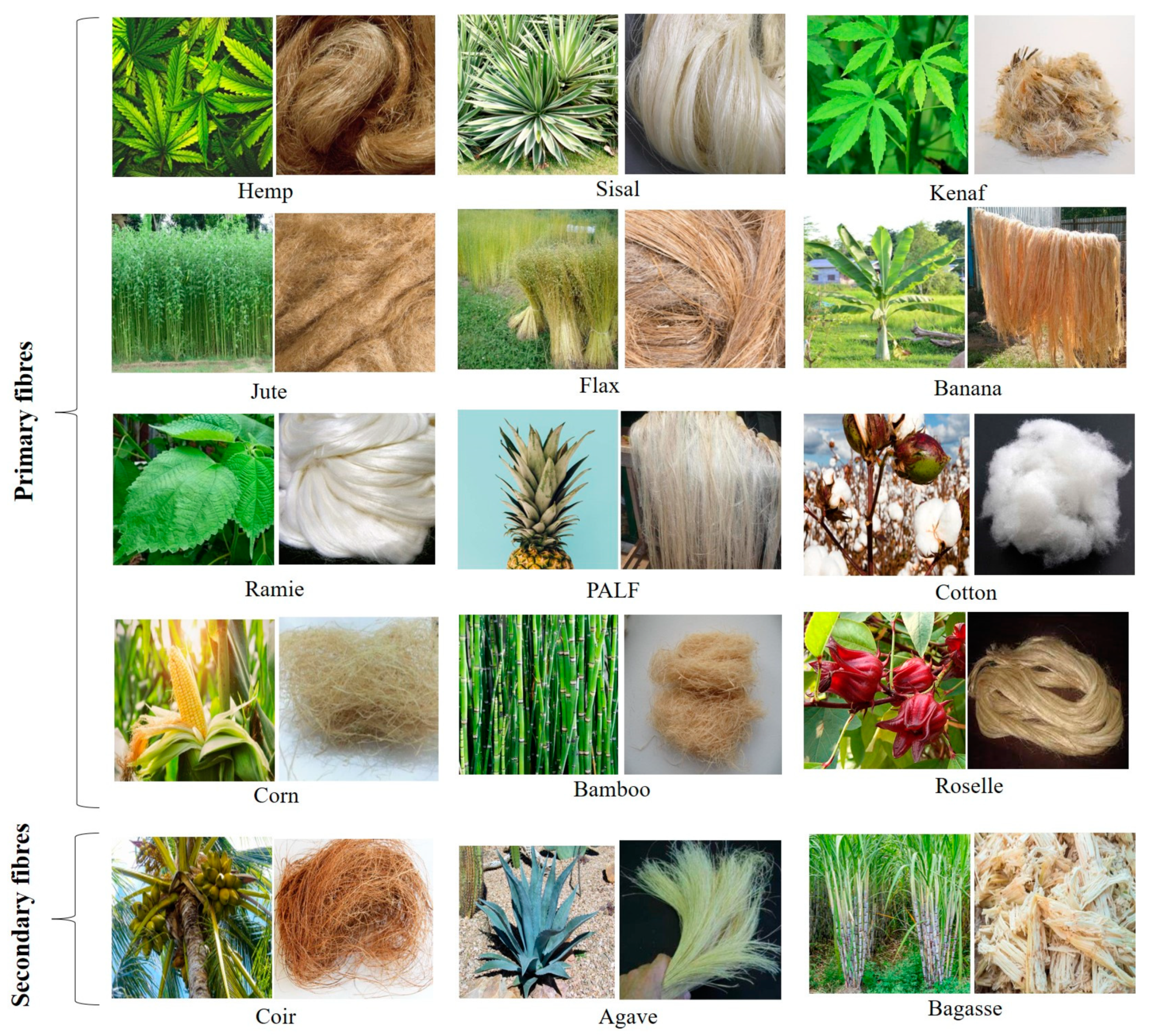 Polymers 15 01393 g002