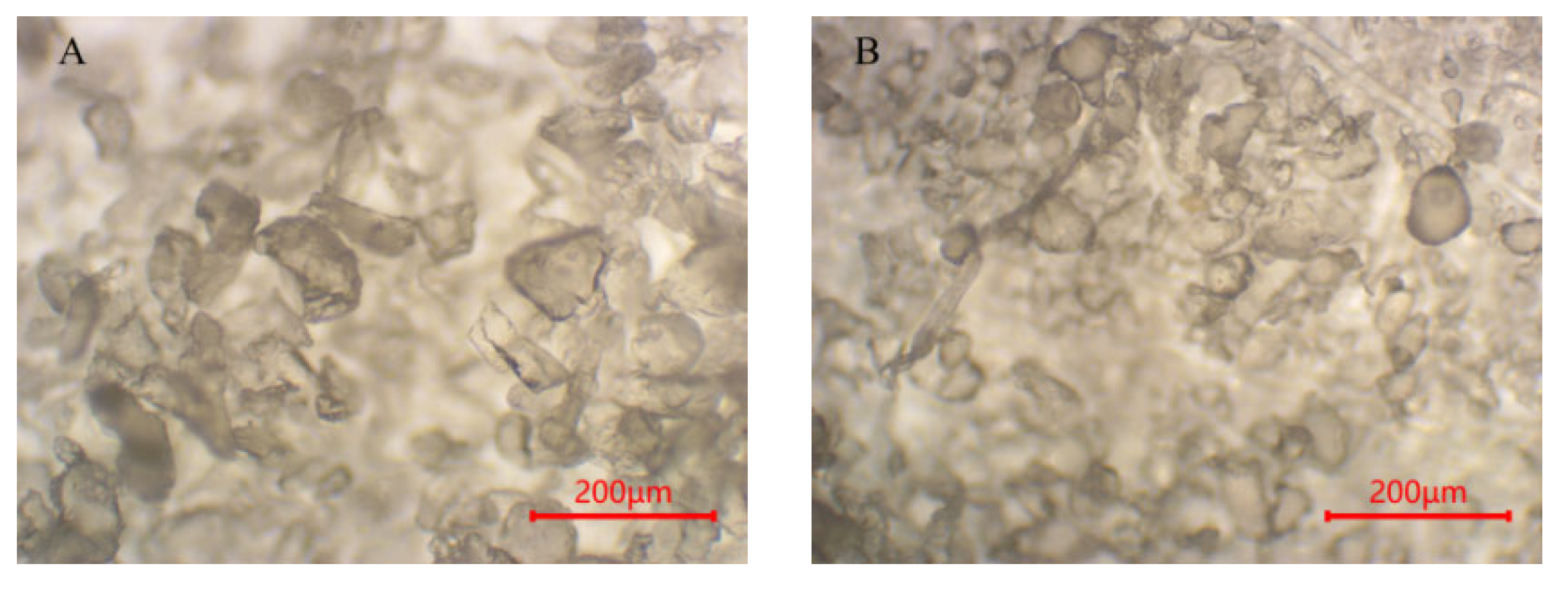 Polymers 15 01394 g008a