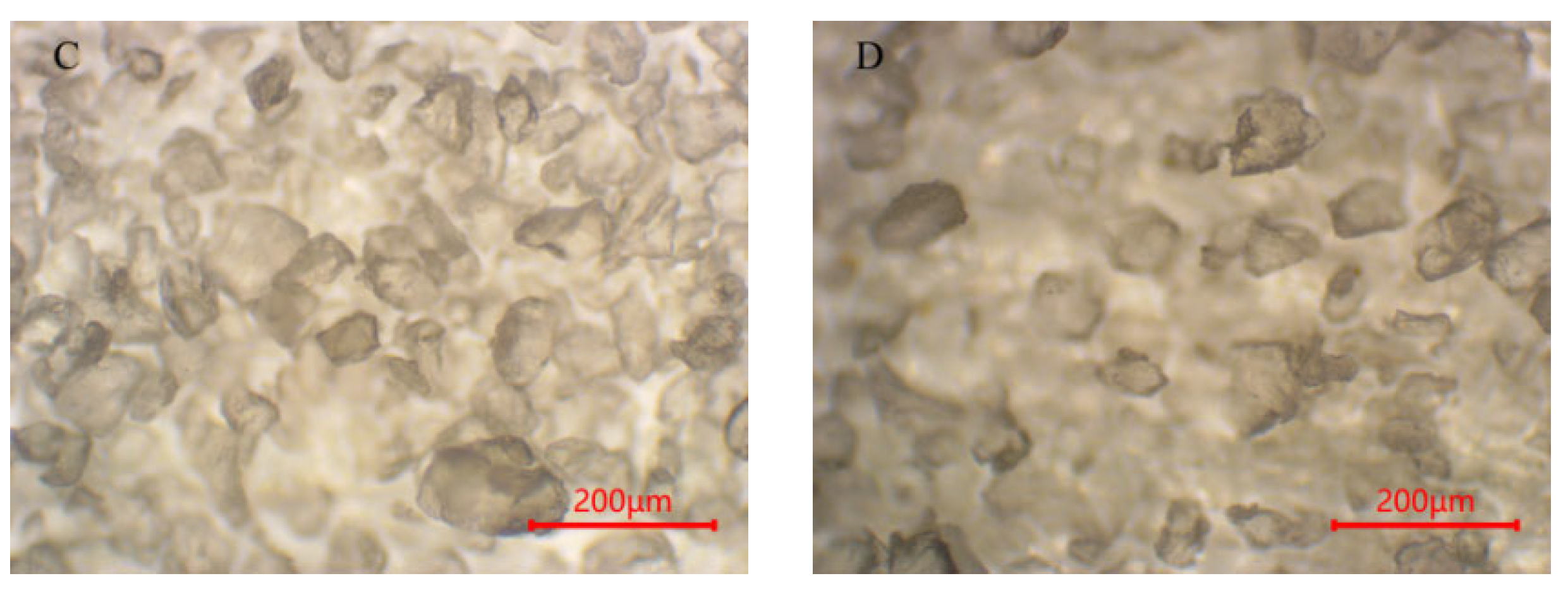 Polymers 15 01394 g008b