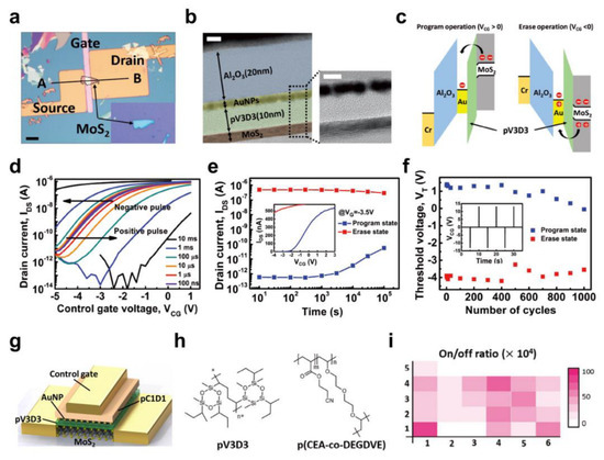 Polymers 15 01395 g005