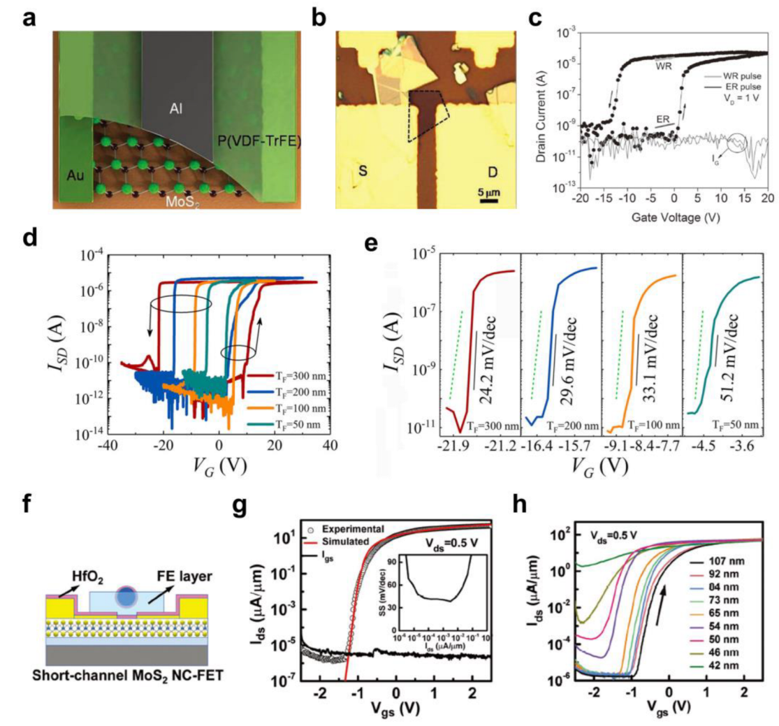 Polymers 15 01395 g007