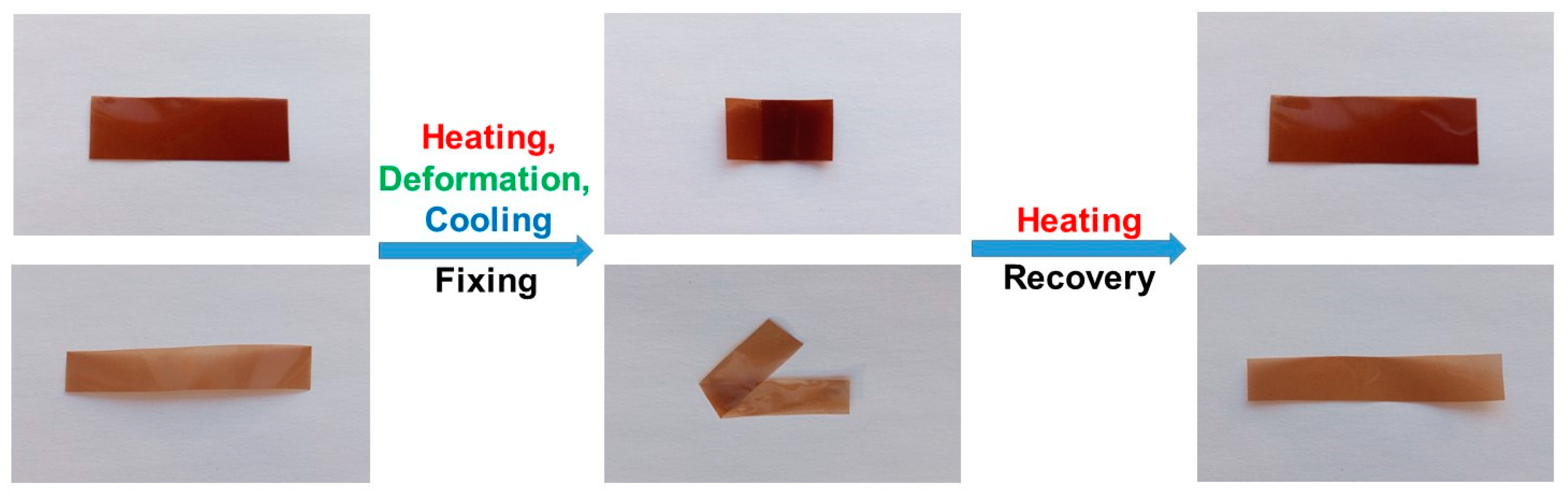Polymers 15 01399 g007