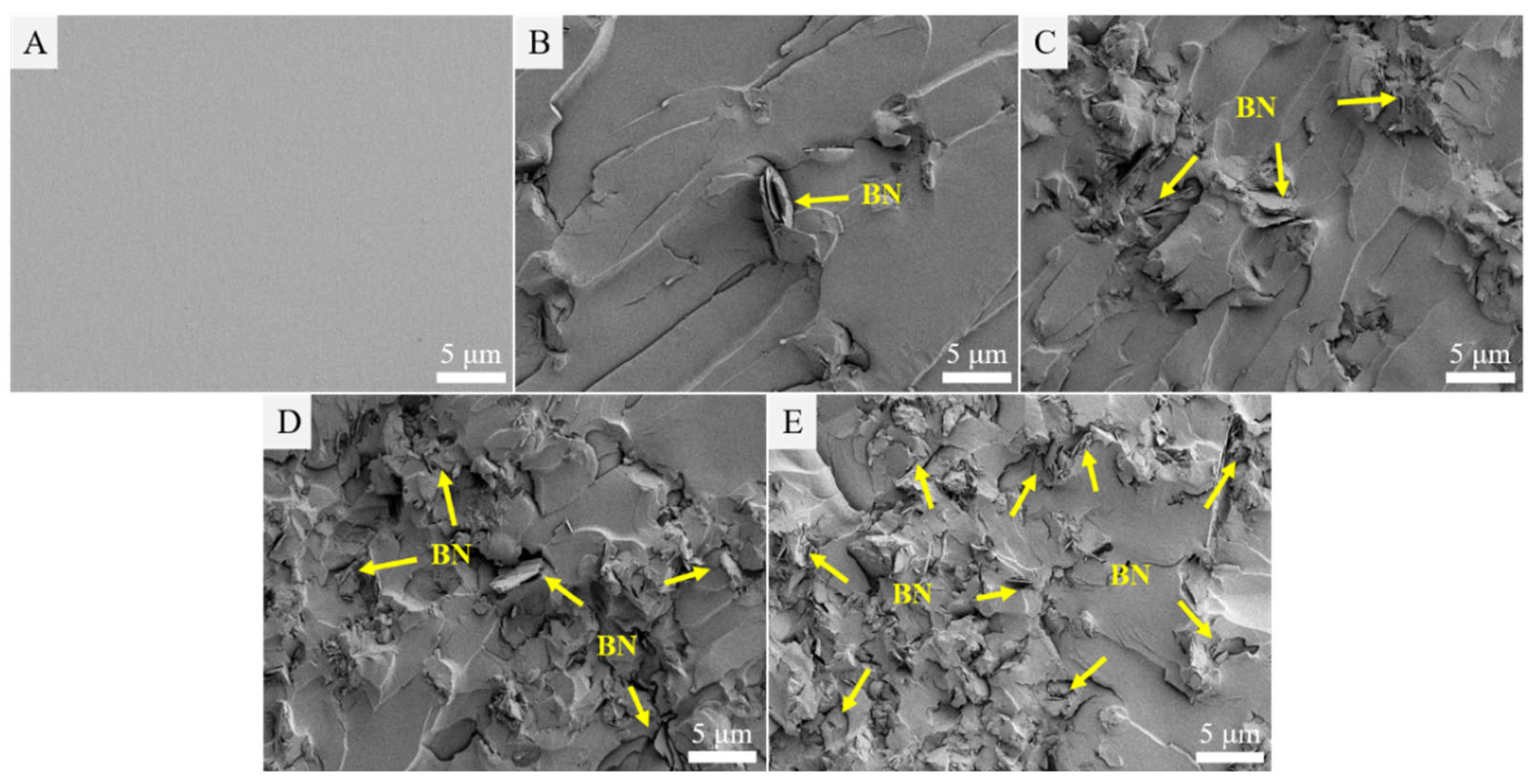 Polymers 15 01415 g008