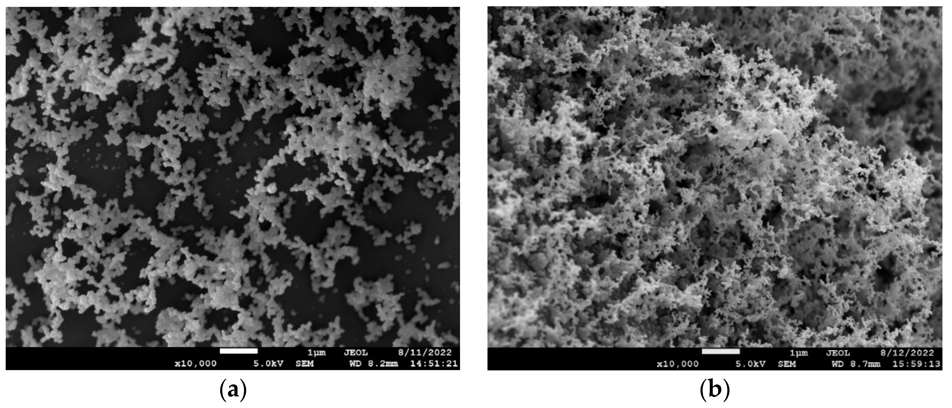 Polymers 15 01431 g009
