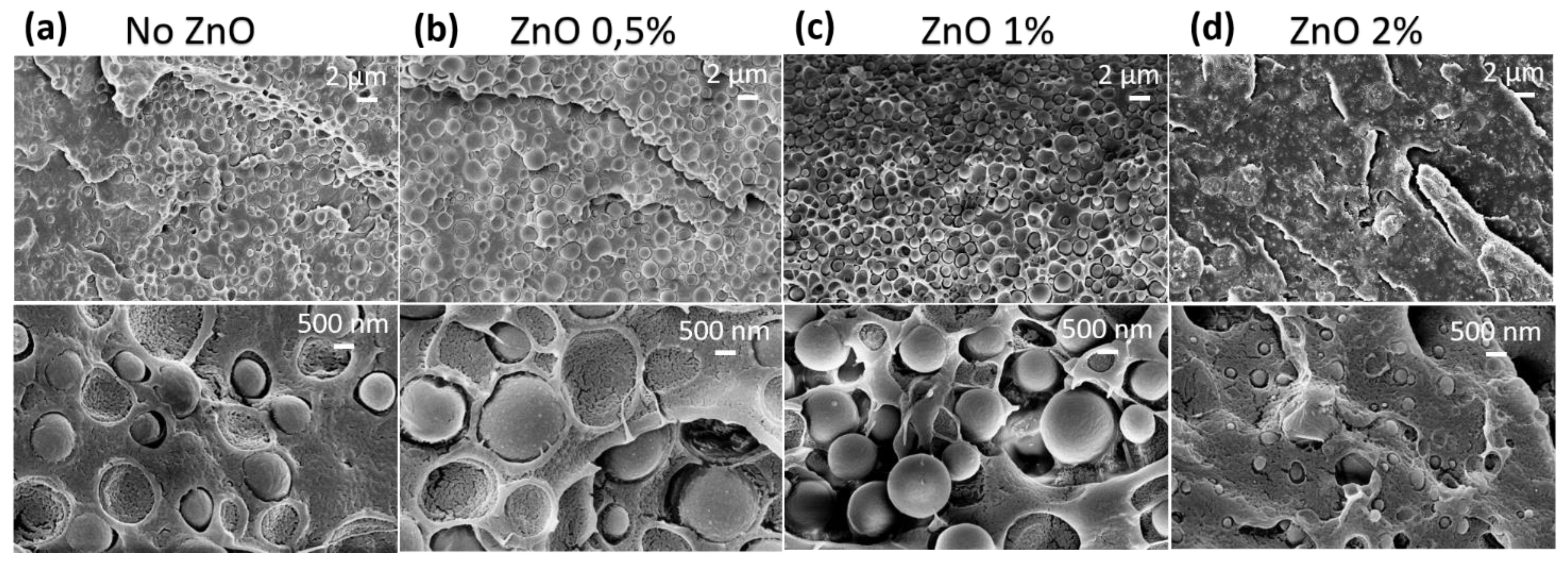 Polymers 15 01434 g003 Polymers 15 01434 g003