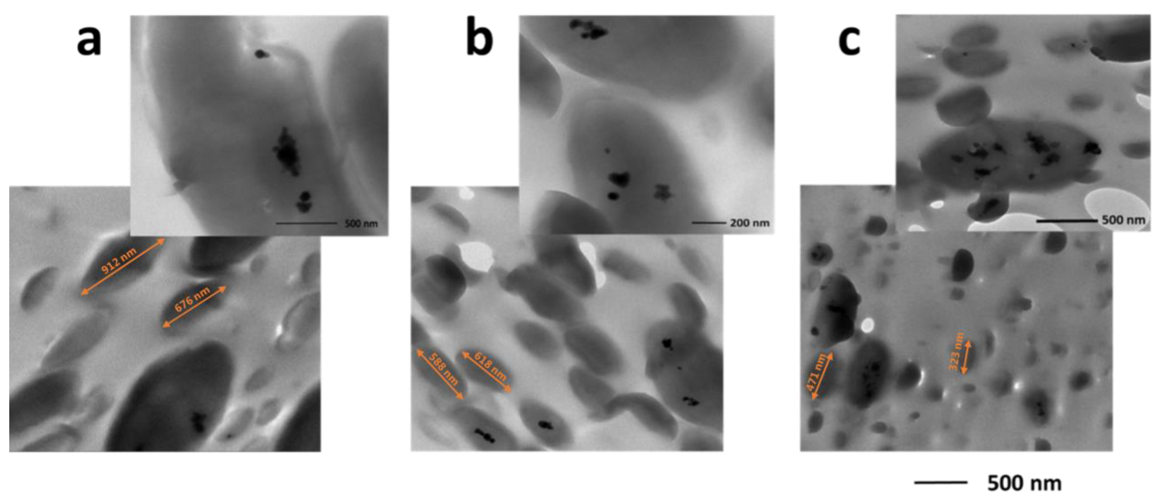 Polymers 15 01434 g004 Polymers 15 01434 g004