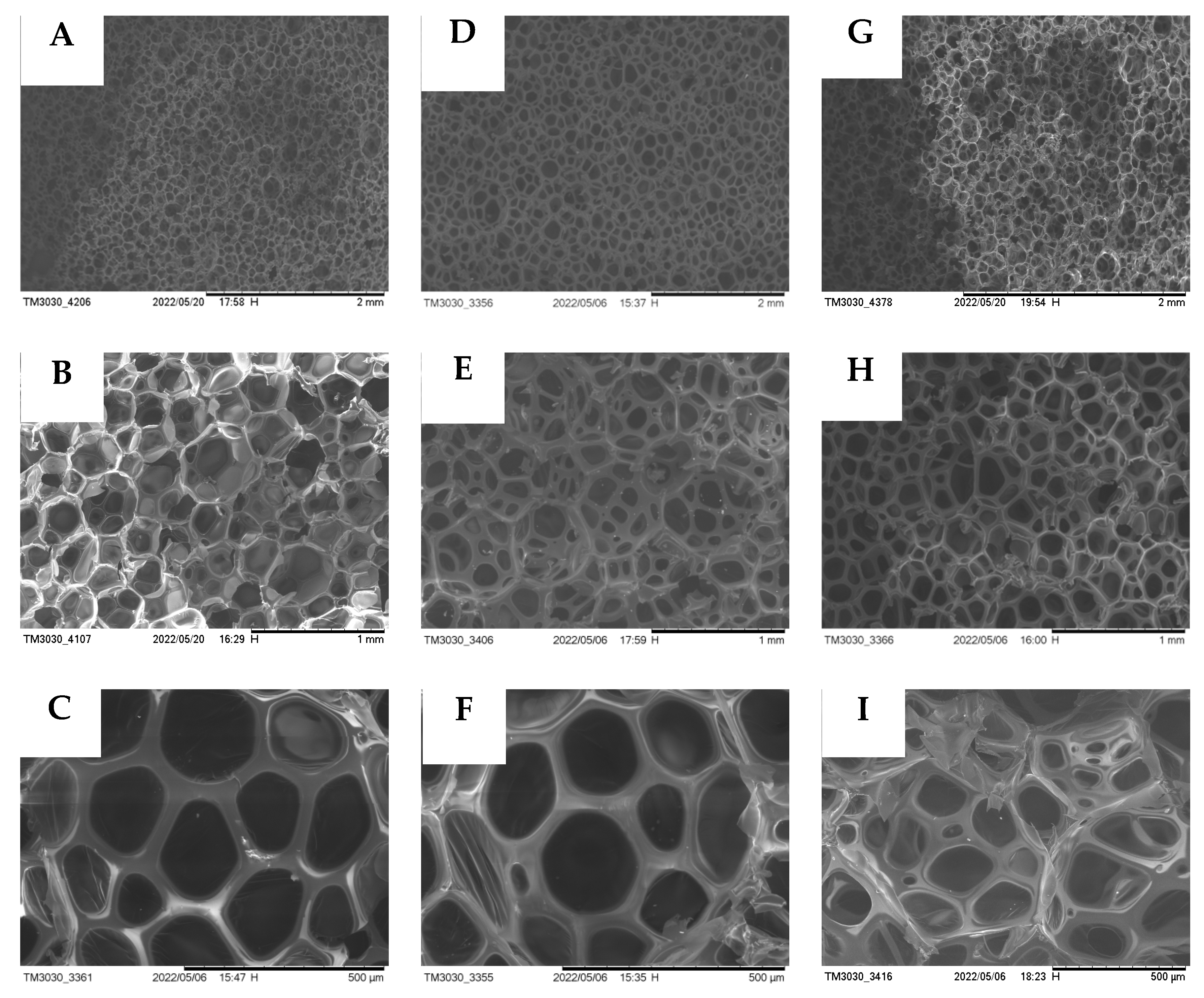Polymers 15 01445 g009 Polymers 15 01445 g009