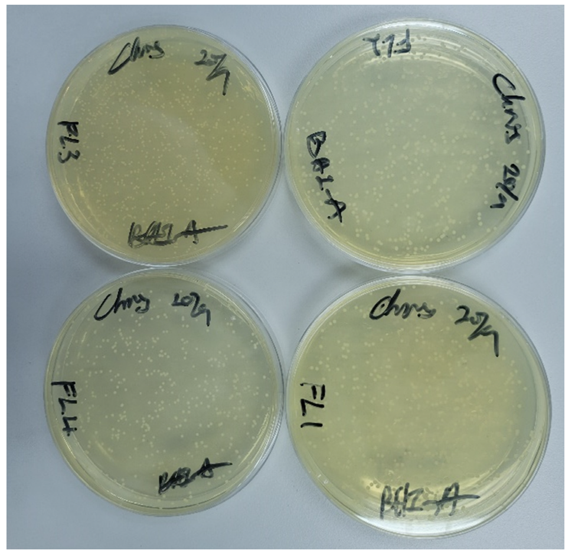 Polymers 15 01463 g005