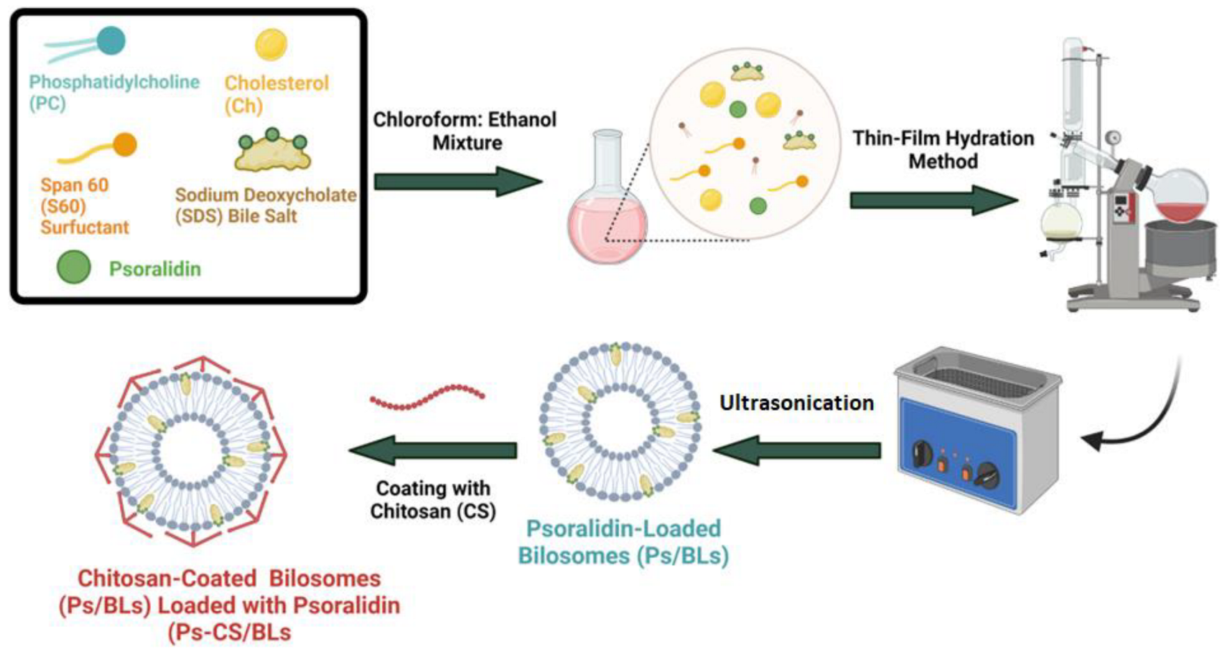 Polymers 15 01464 sch001