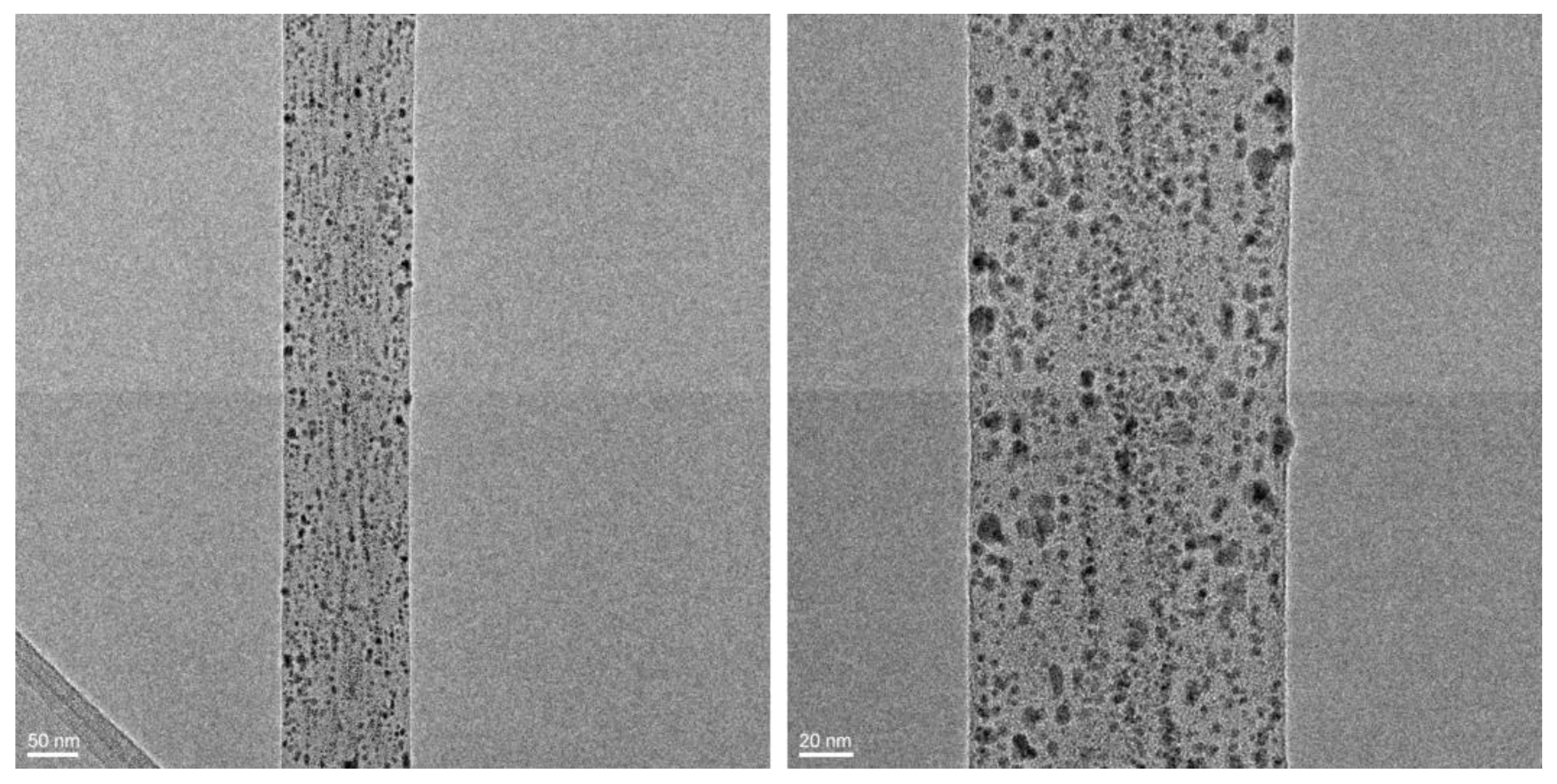 Polymers 15 01470 g008
