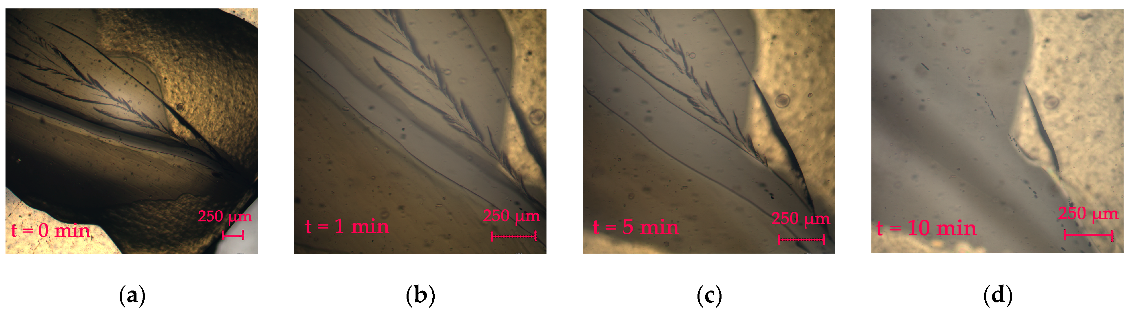 Polymers 15 01472 g008 Polymers 15 01472 g008