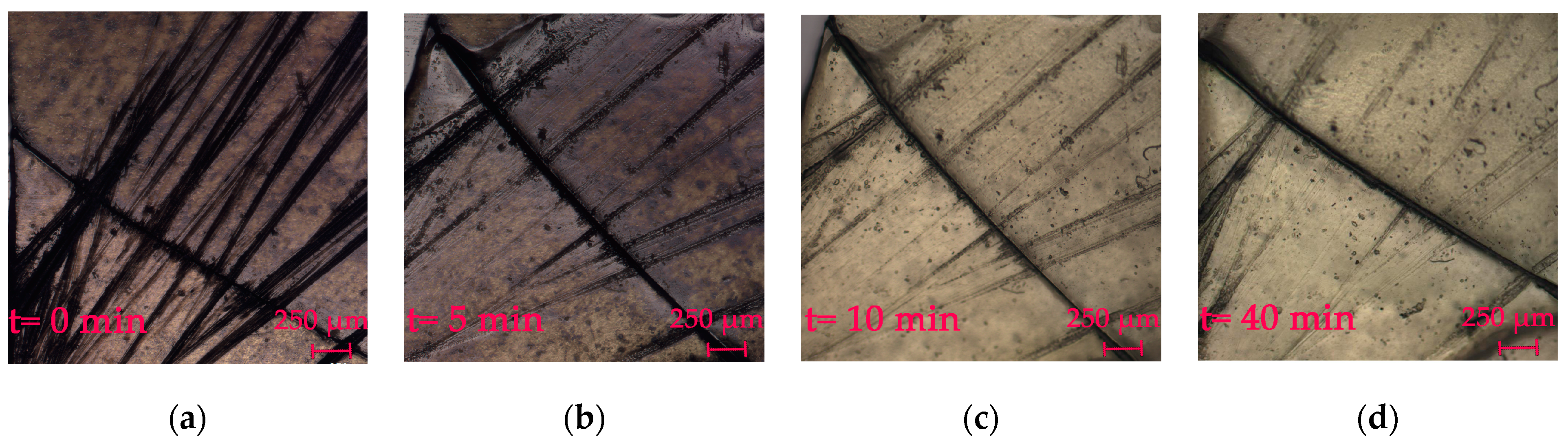 Polymers 15 01472 g010 Polymers 15 01472 g010