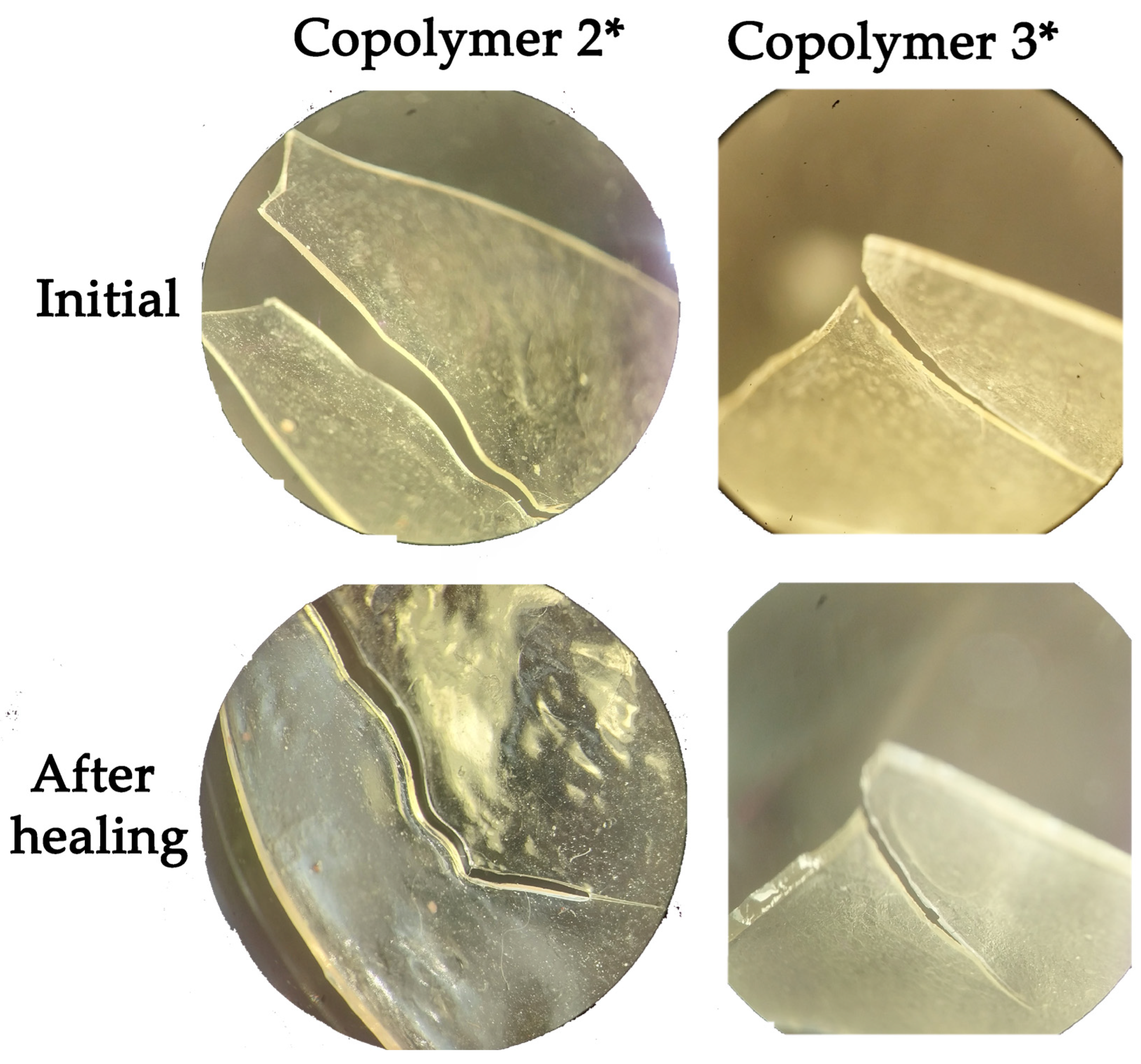 Polymers 15 01472 g015 Polymers 15 01472 g015