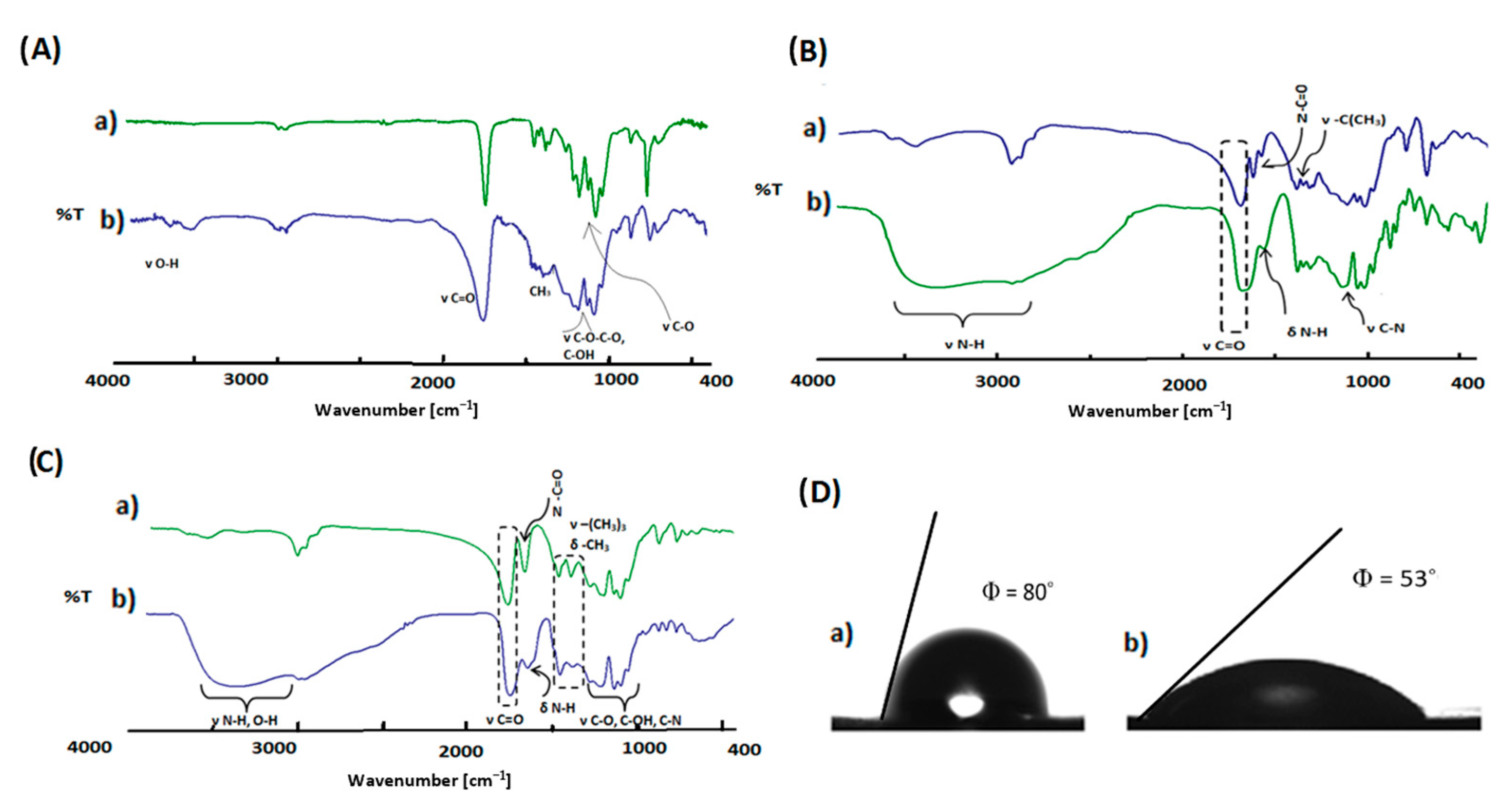 Polymers 15 01473 g006