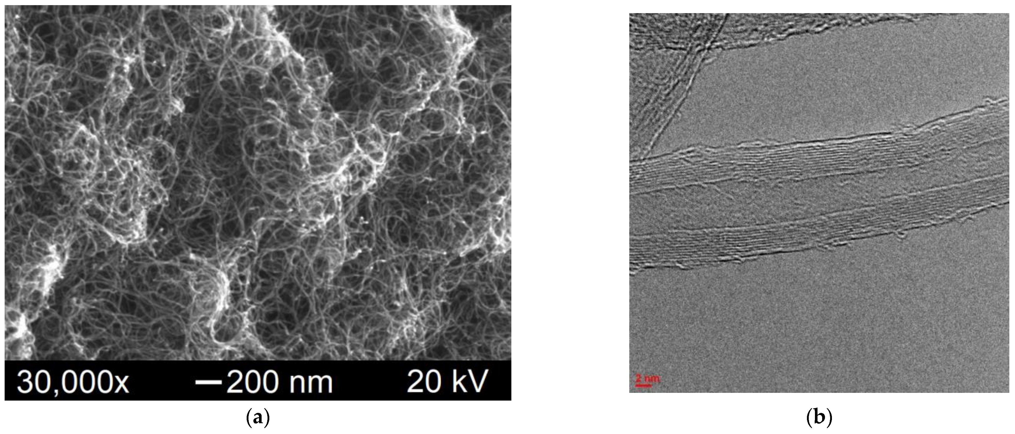 Polymers 15 01476 g001a