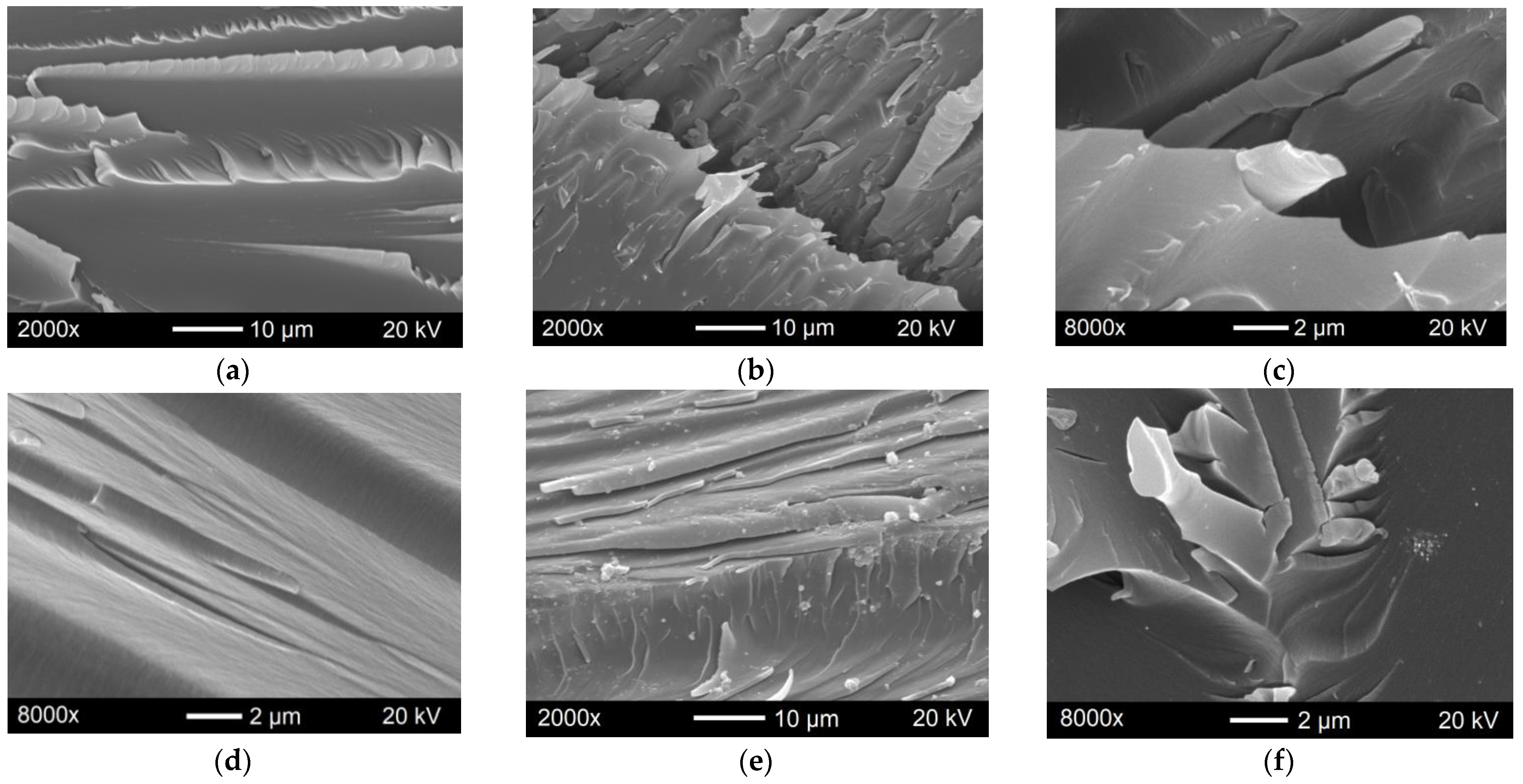 Polymers 15 01476 g009