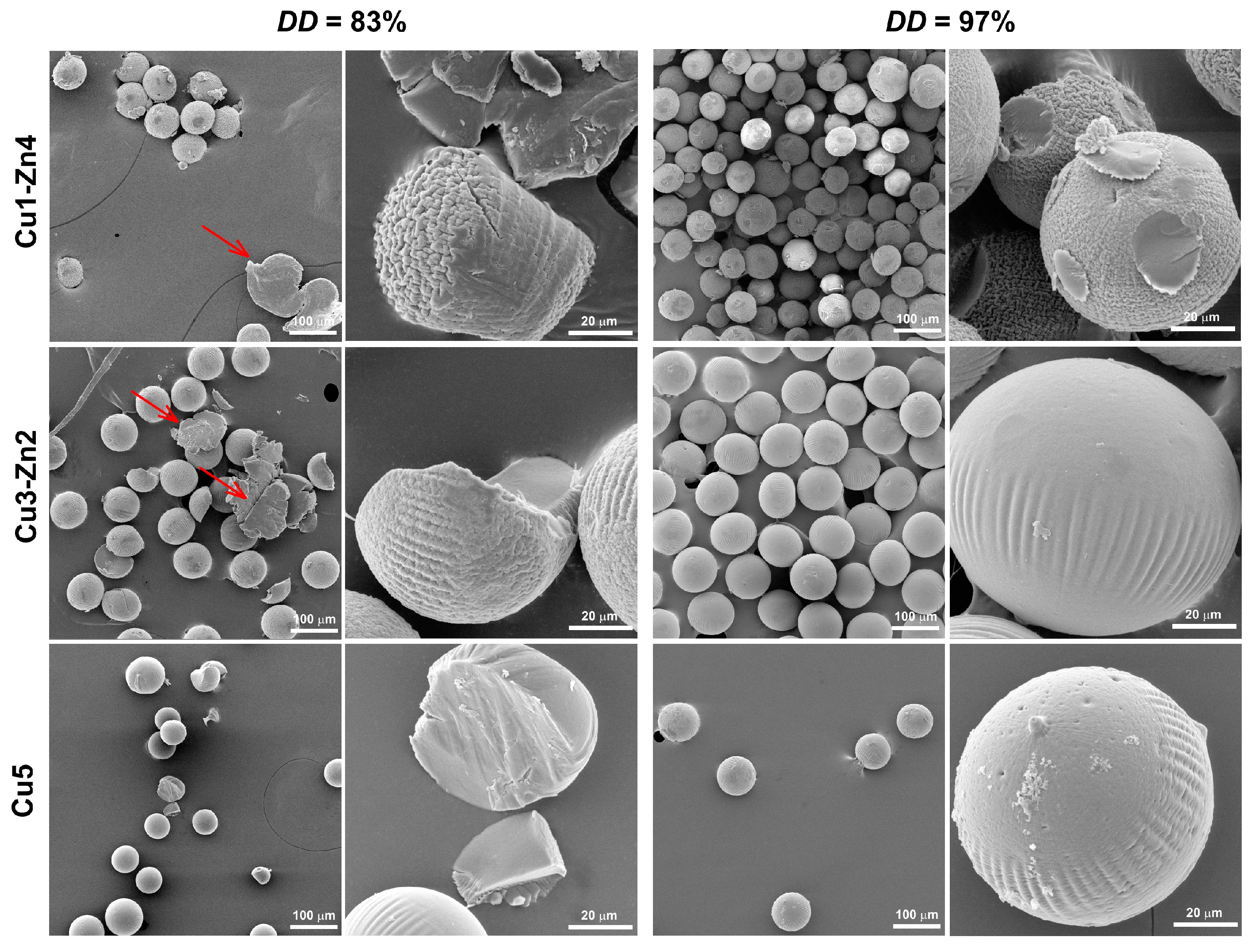 Polymers 15 01480 g007