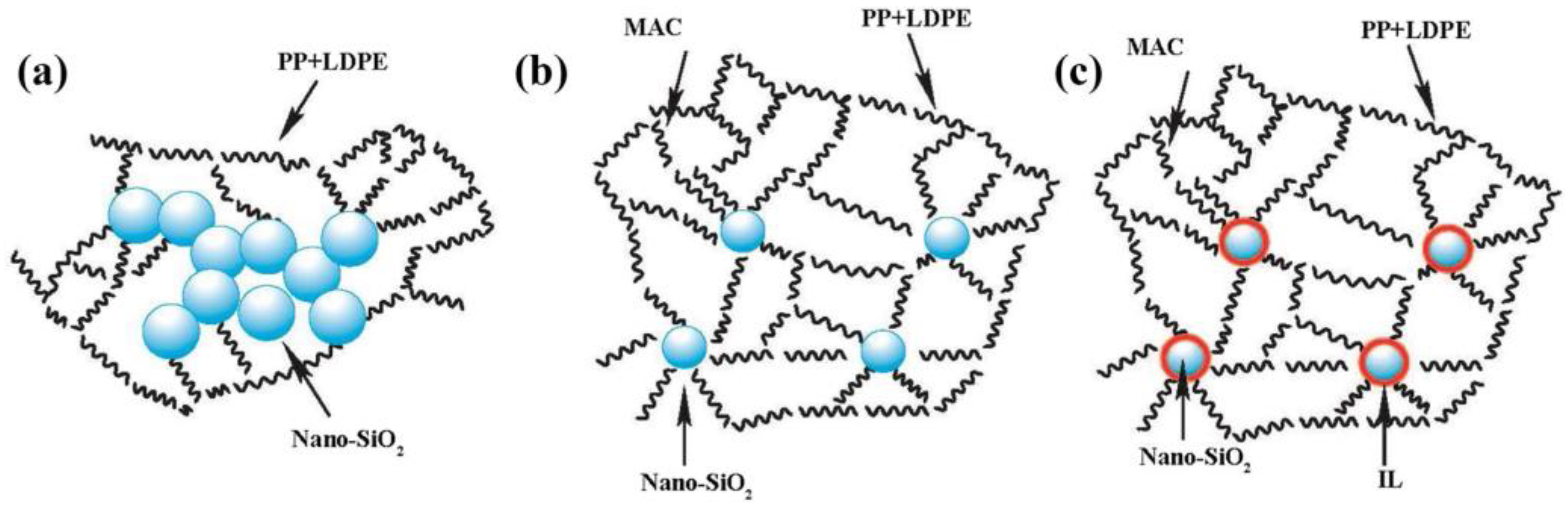 Polymers 15 01485 g005