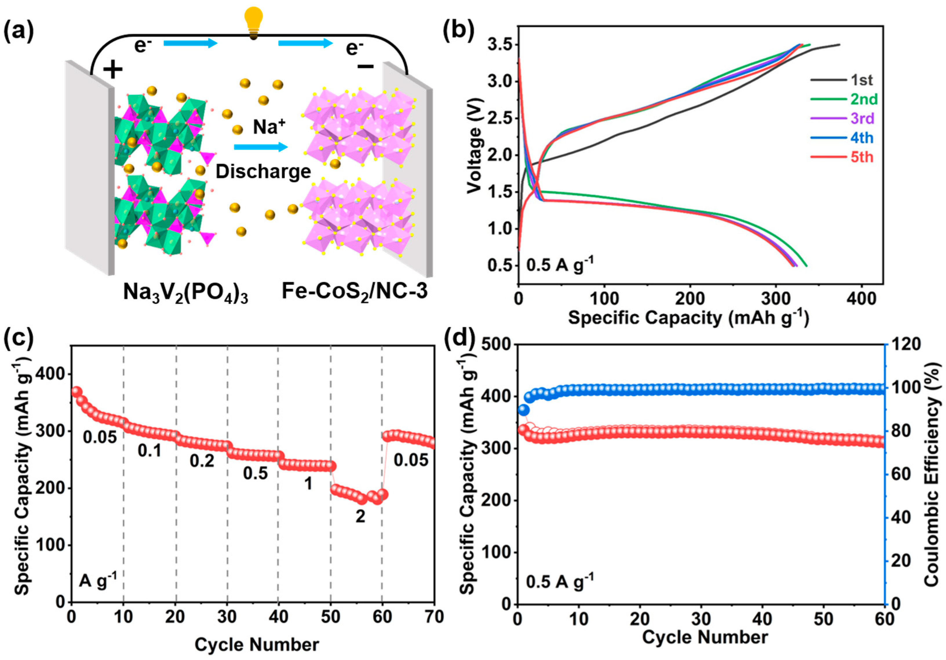 Polymers 15 01496 g006