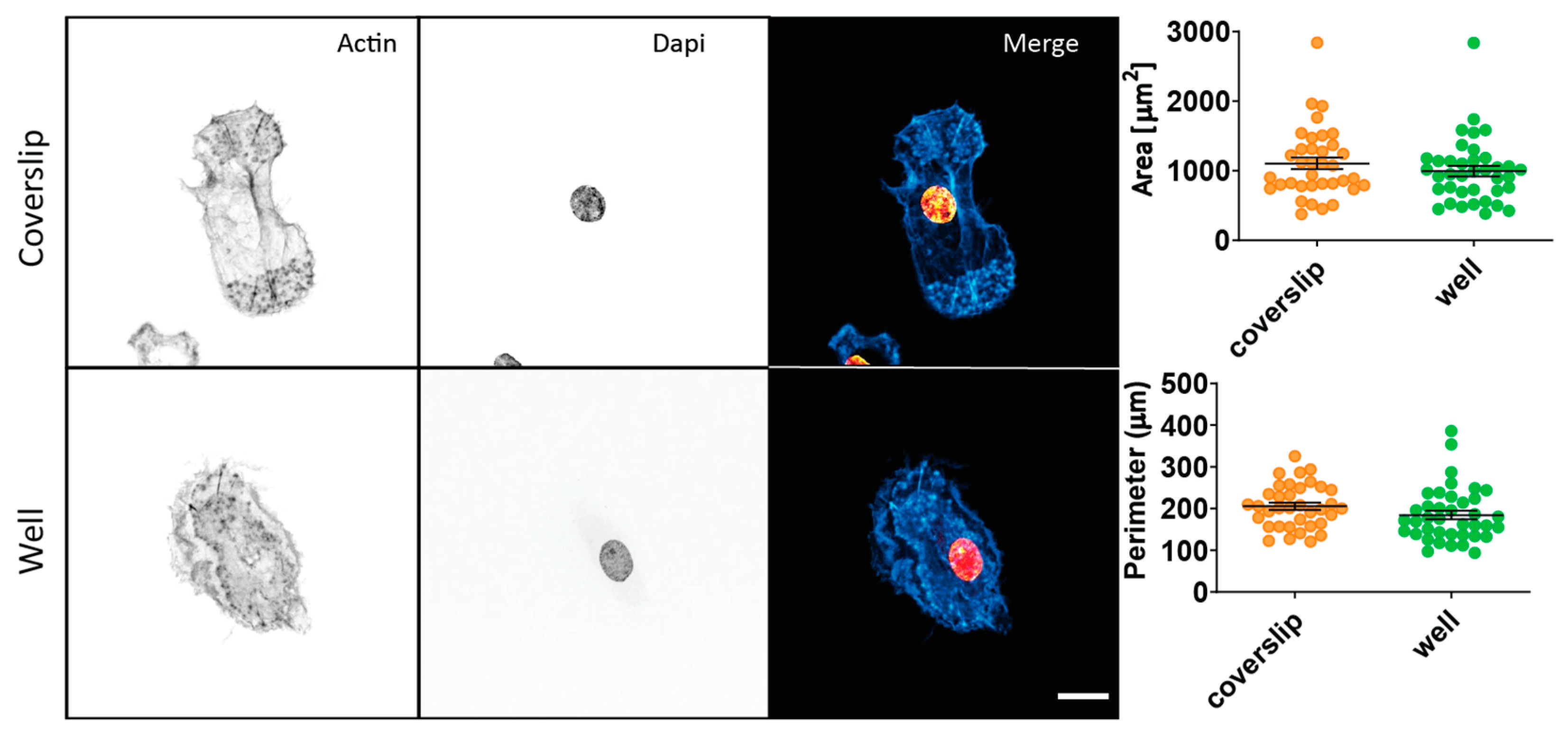 Polymers 15 01498 g003