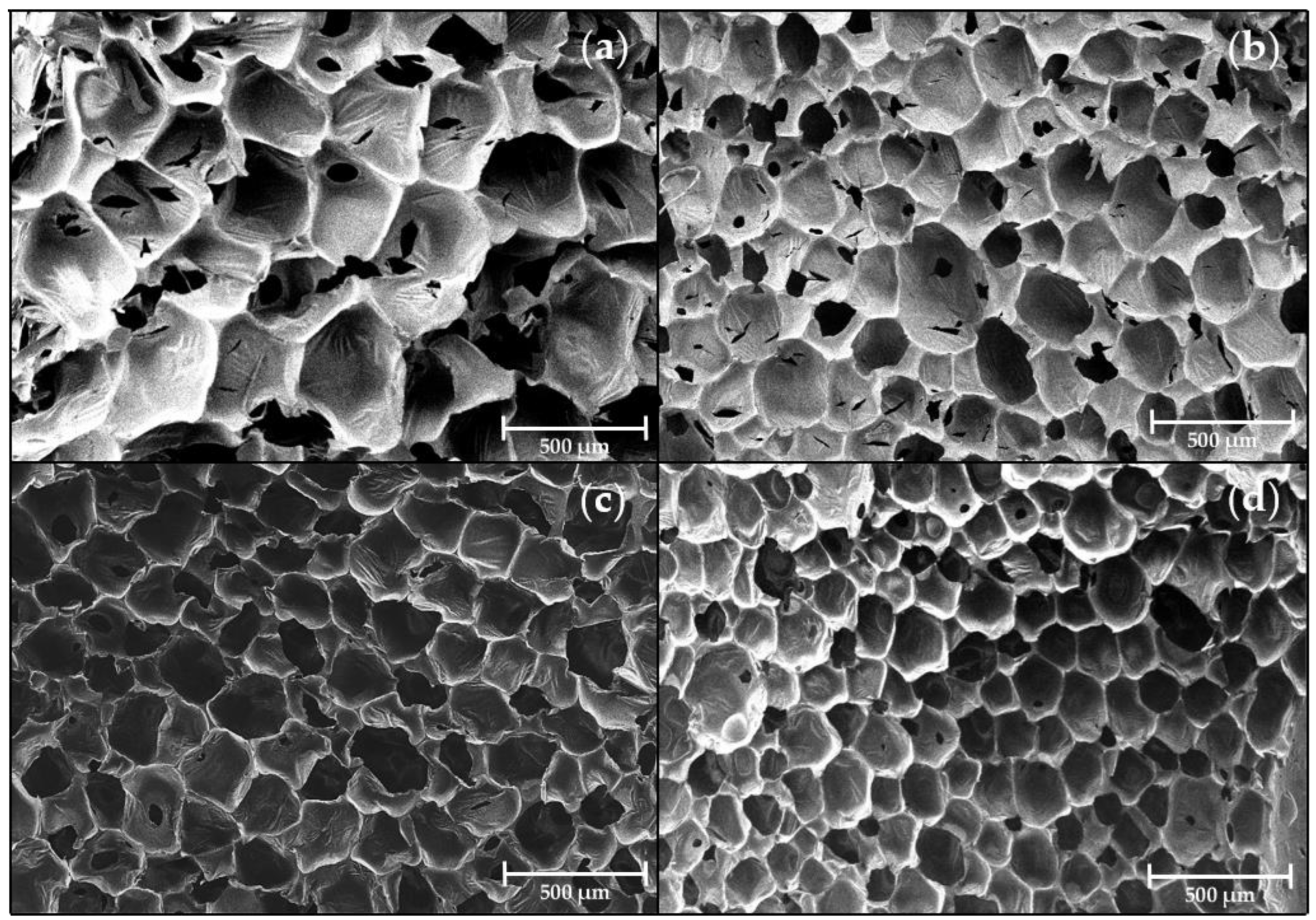 Polymers 15 01499 g005 Polymers 15 01499 g005