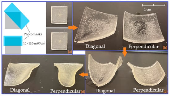 Polymers 15 01511 g007