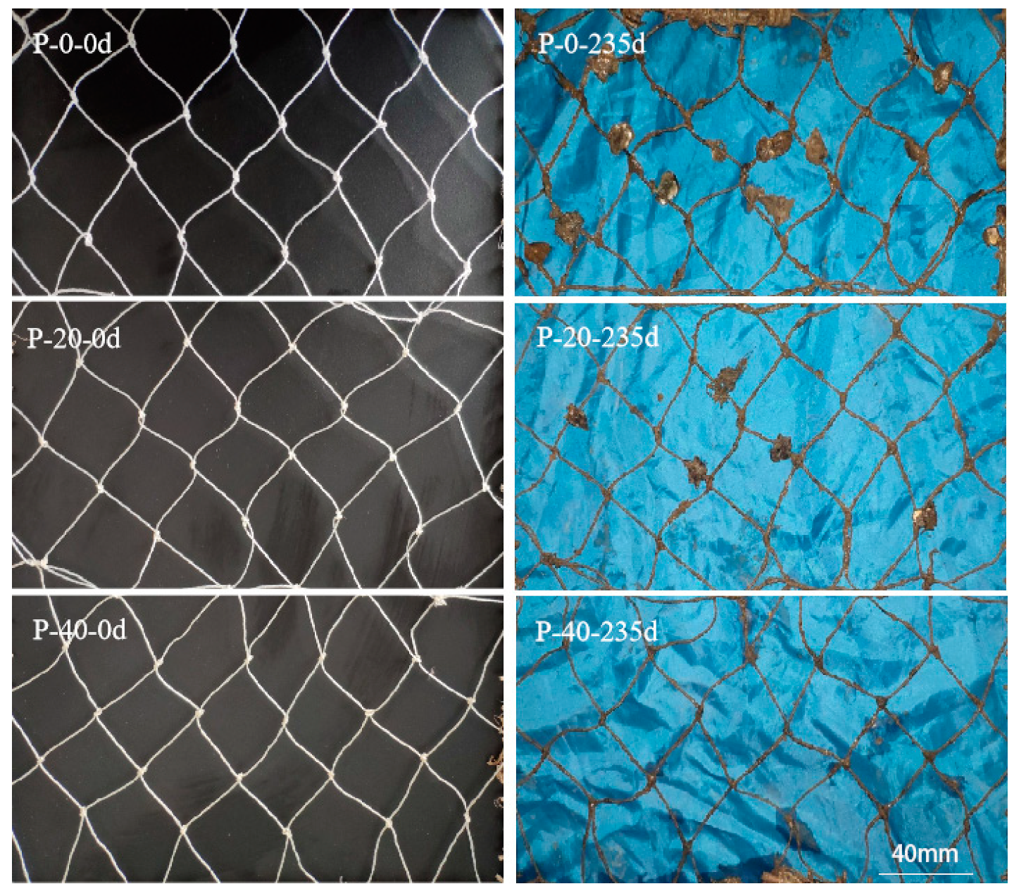 Polymers 15 01521 g010 Polymers 15 01521 g010