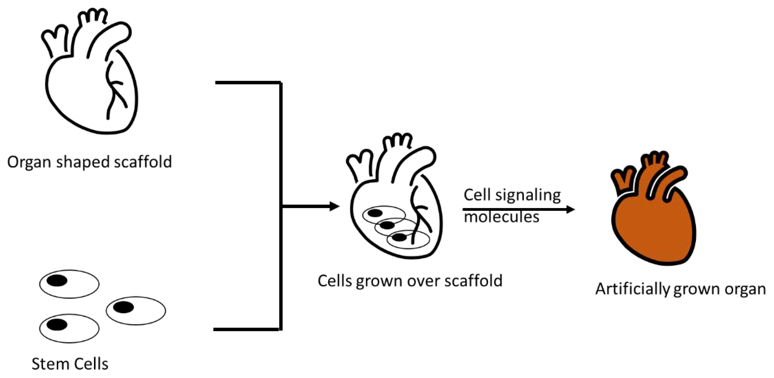 Polymers 15 01525 g001 Polymers 15 01525 g001
