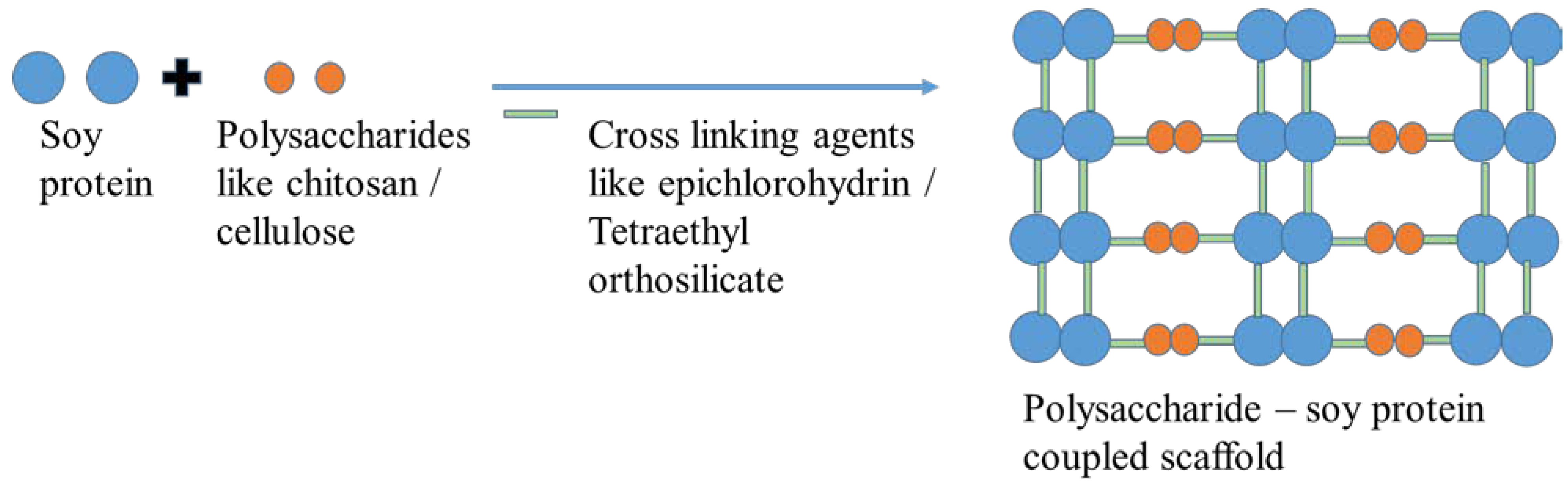 Polymers 15 01525 g007 Polymers 15 01525 g007