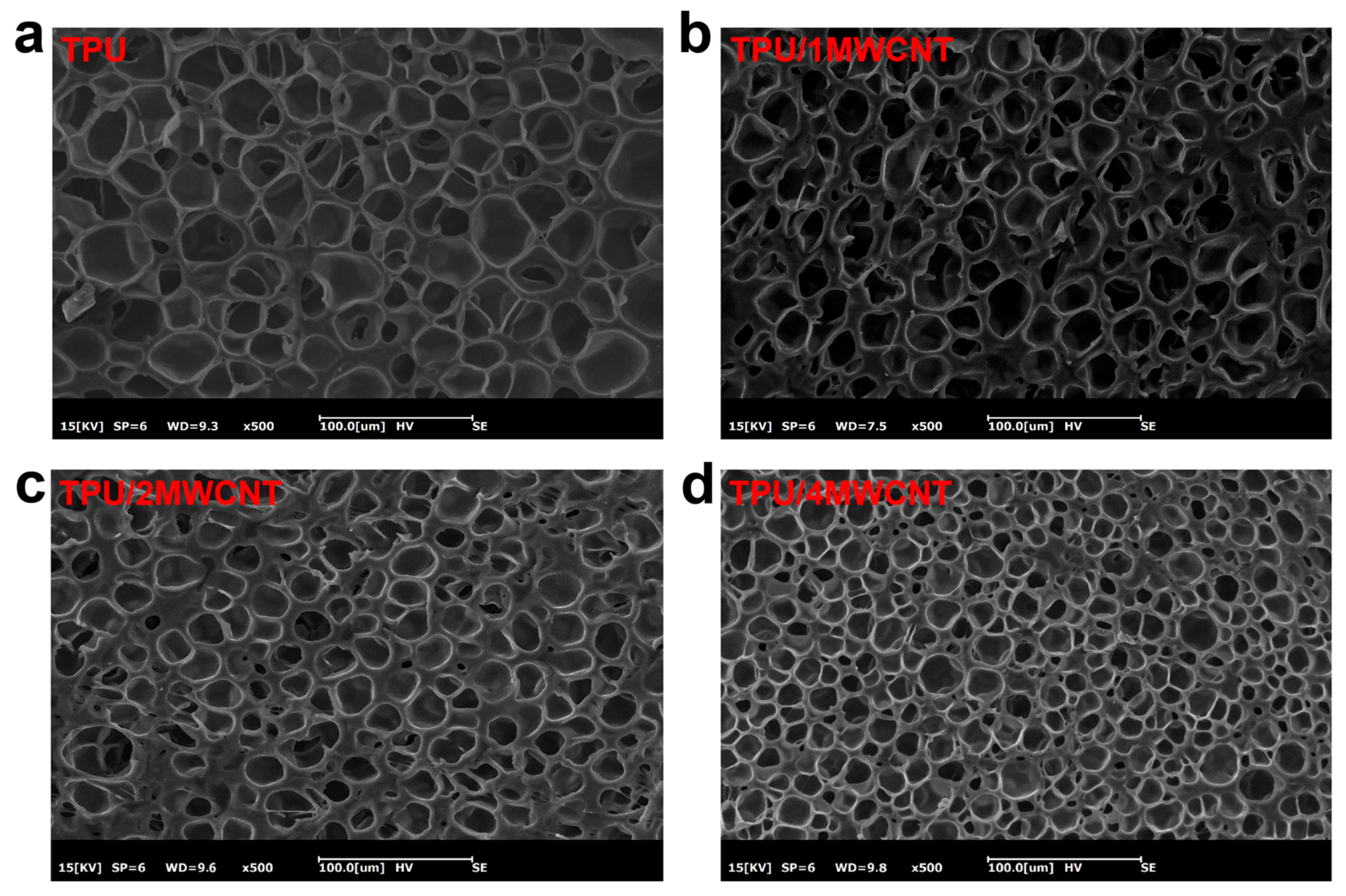 Polymers 15 01535 g002