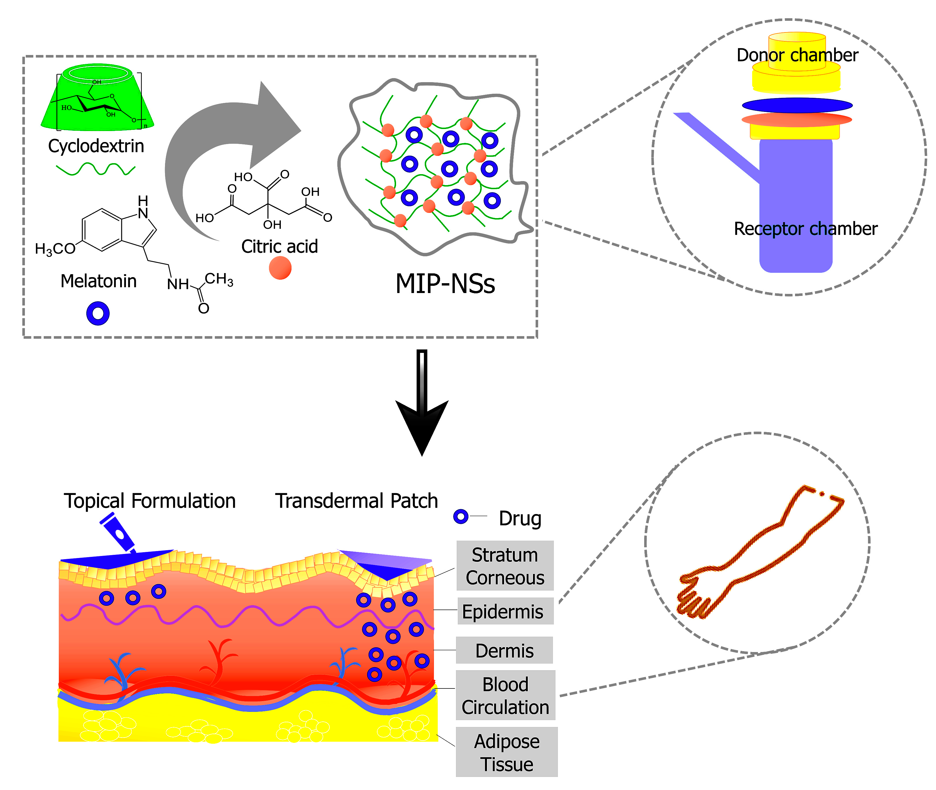 Polymers 15 01543 g009