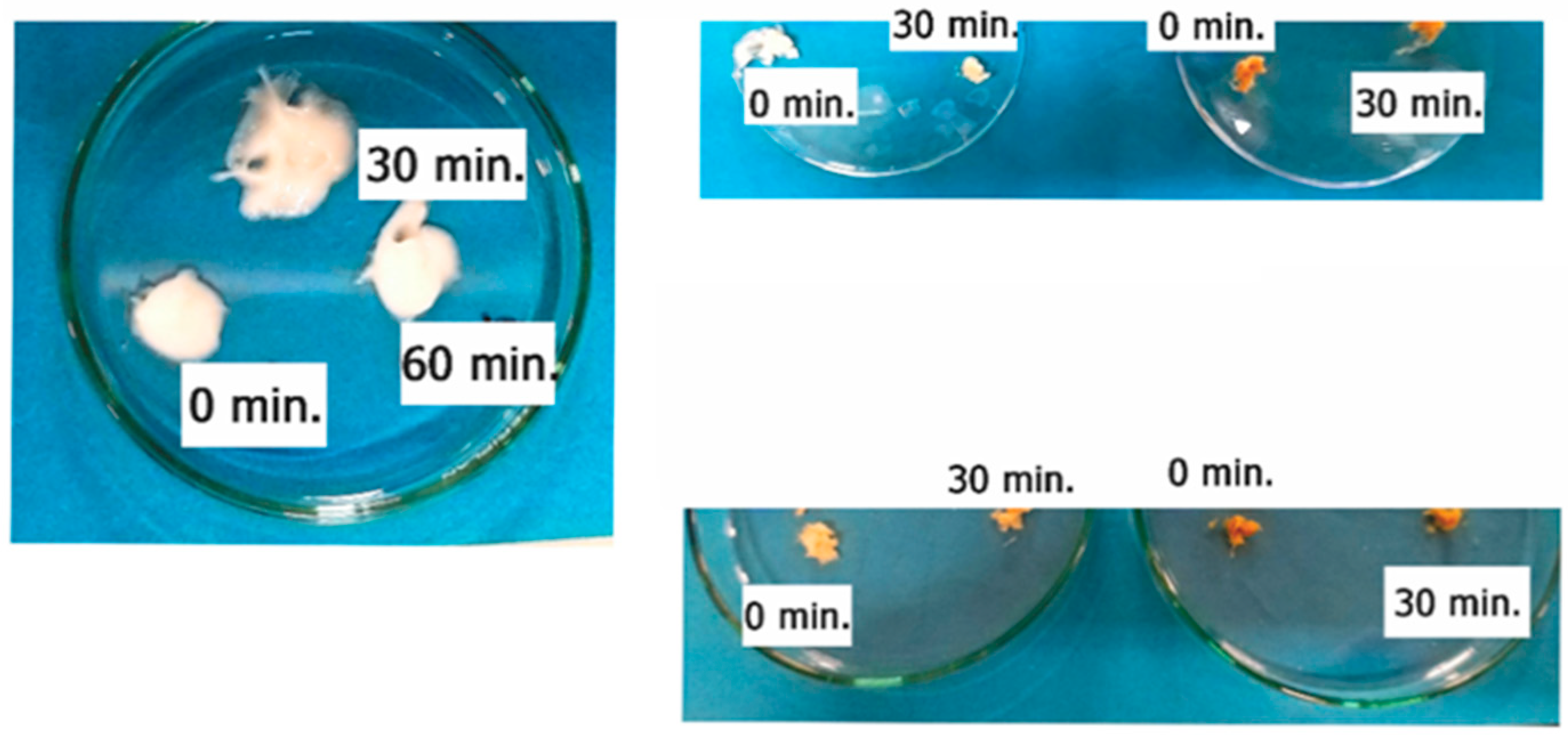 Polymers 15 01543 g010