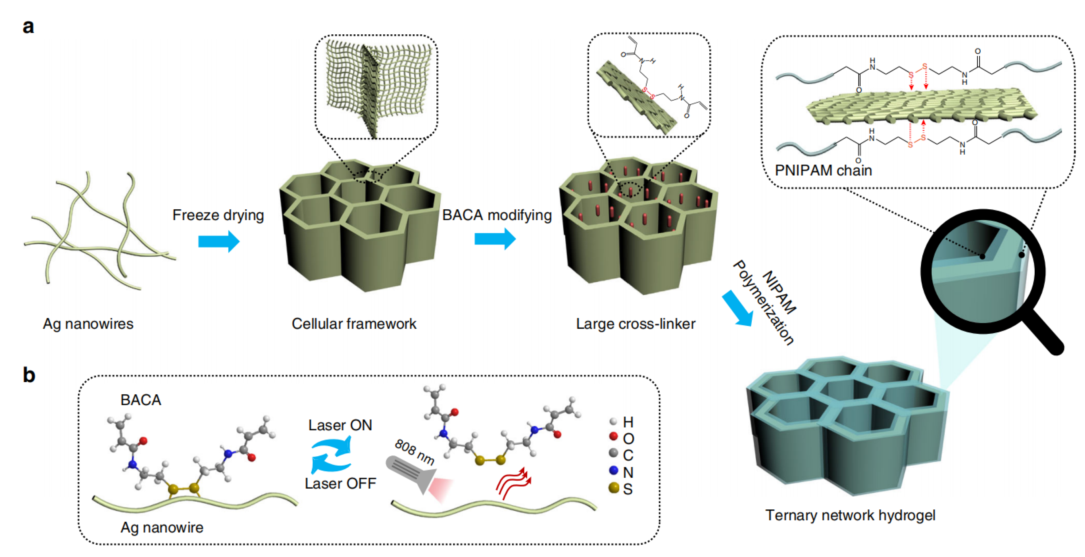Polymers 15 01545 g004