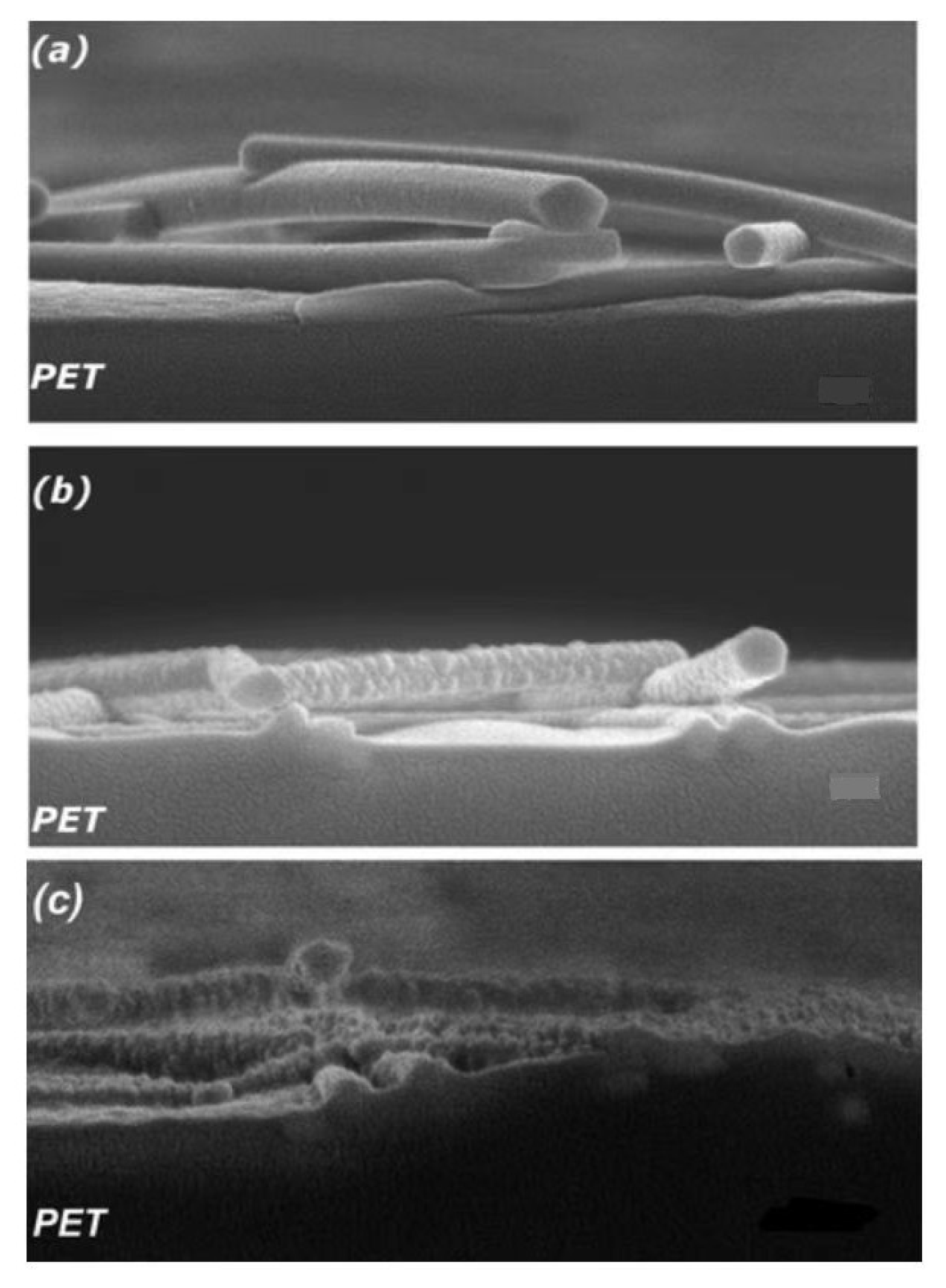 Polymers 15 01545 g007