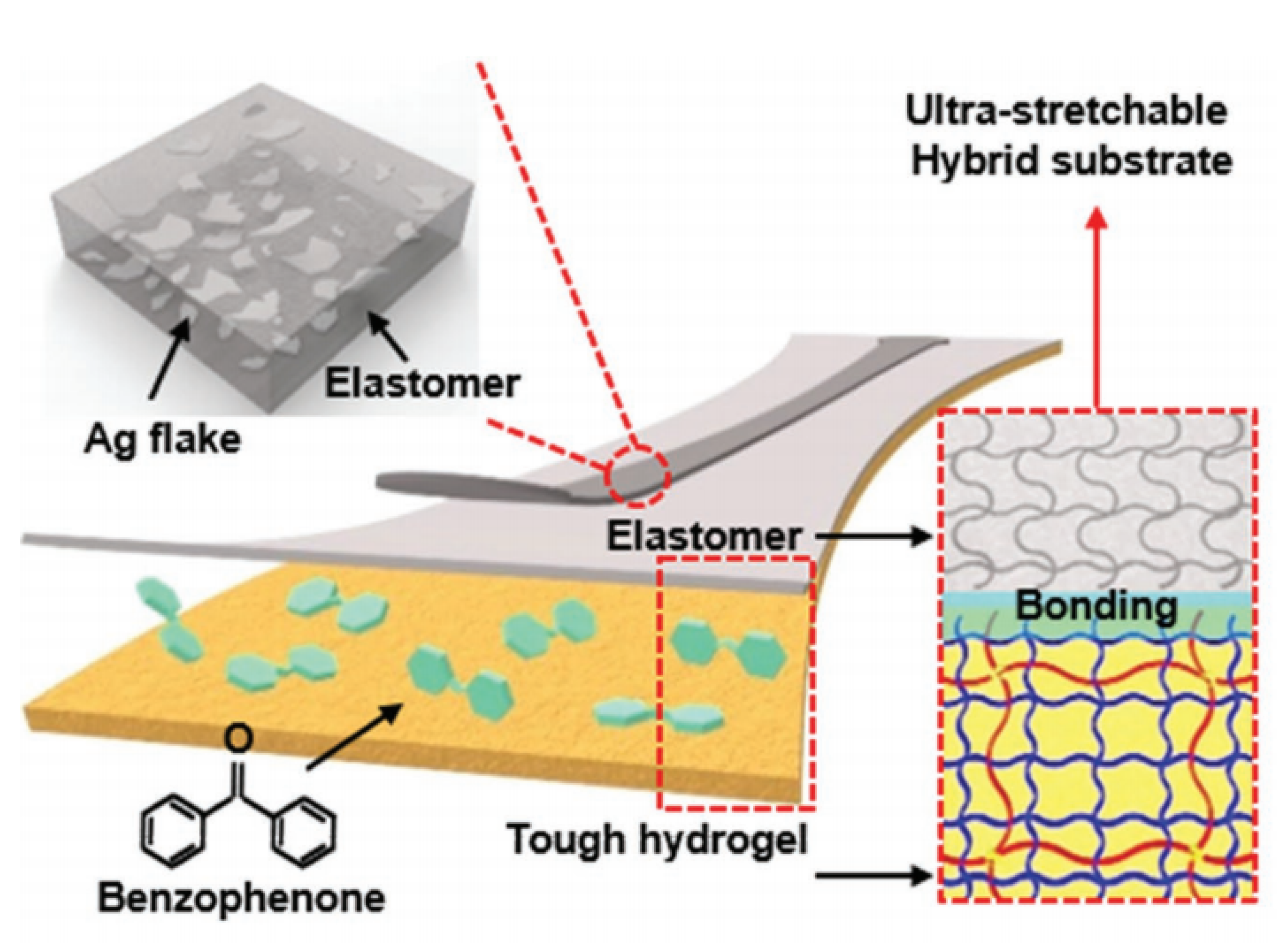 Polymers 15 01545 g009